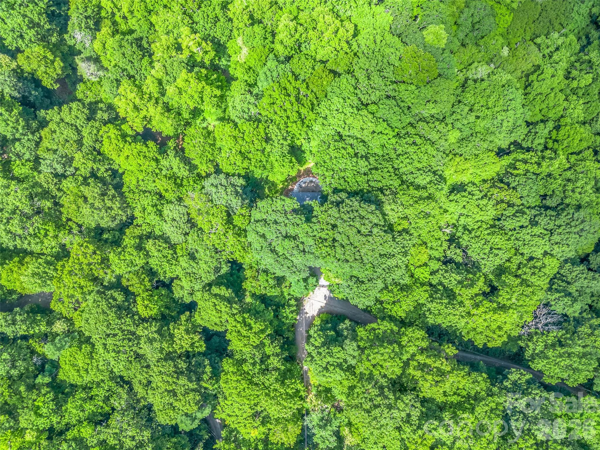 20 Kimberly Road — Black Mountain