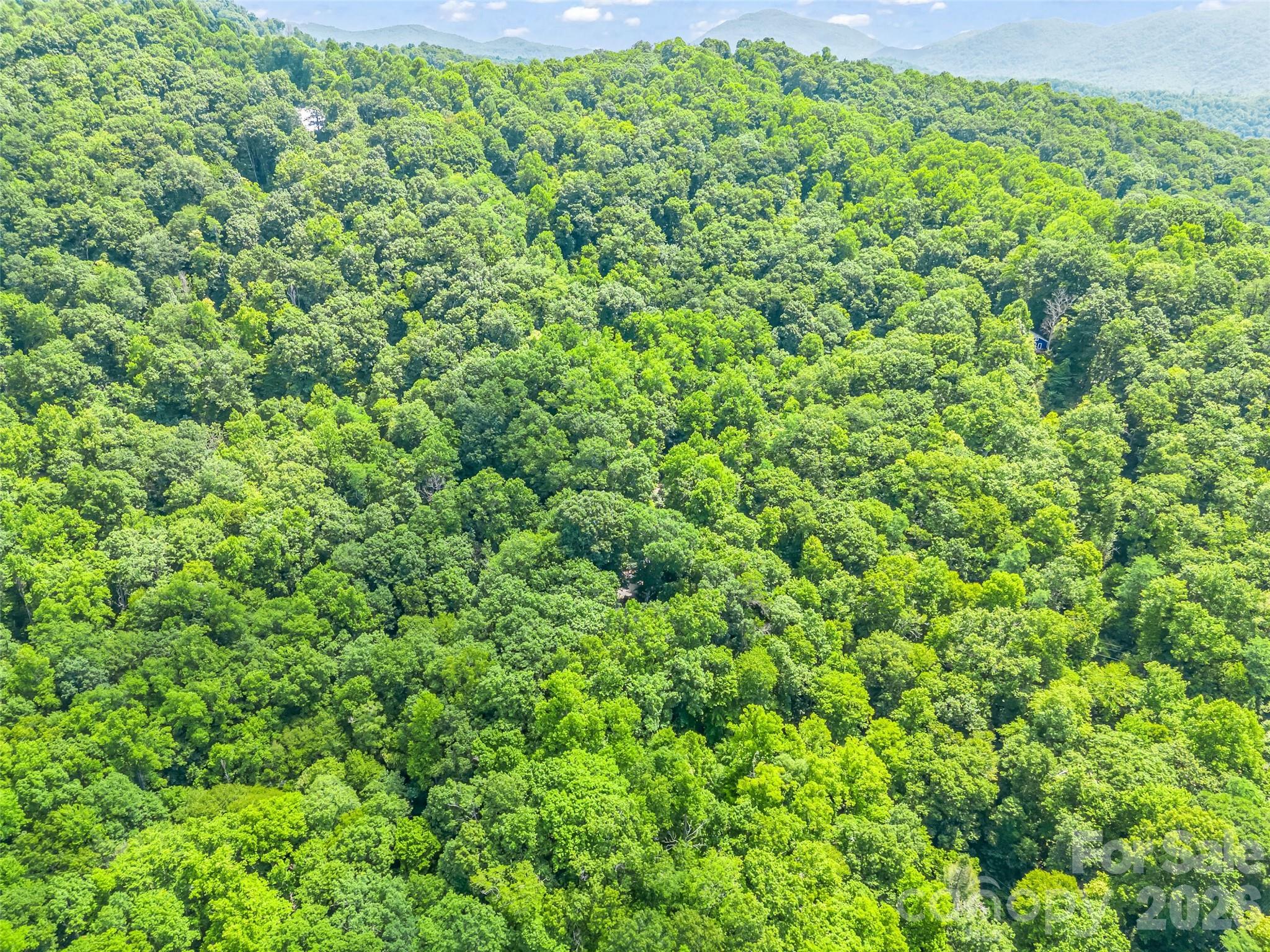 20 Kimberly Road — Black Mountain