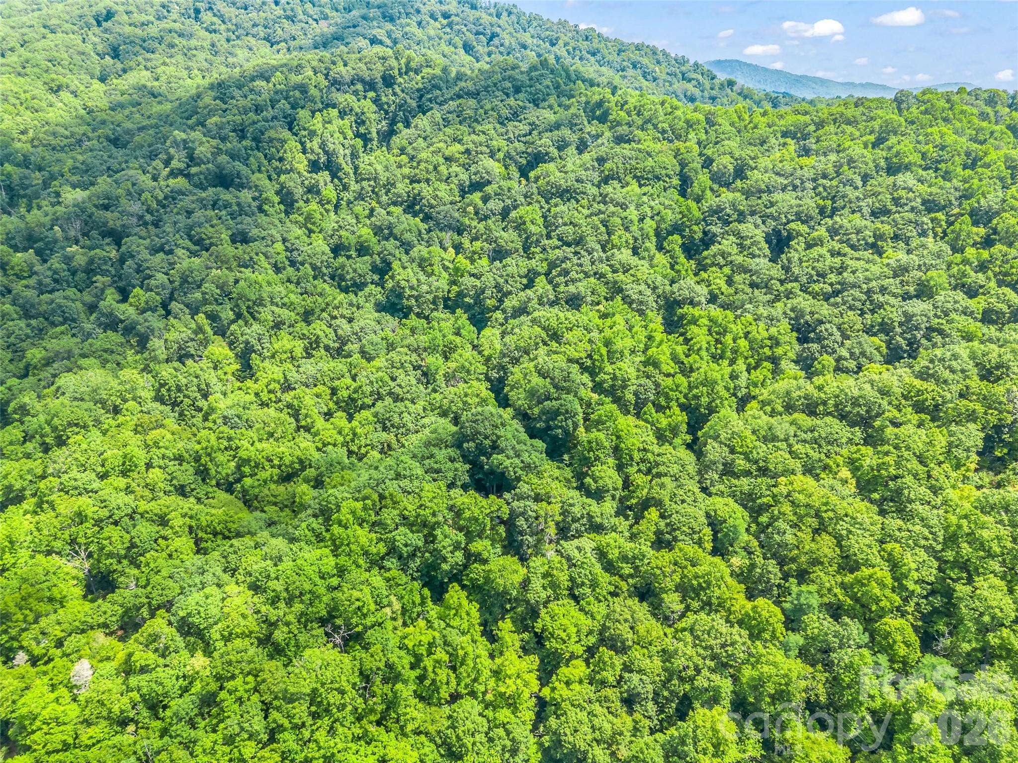 20 Kimberly Road — Black Mountain