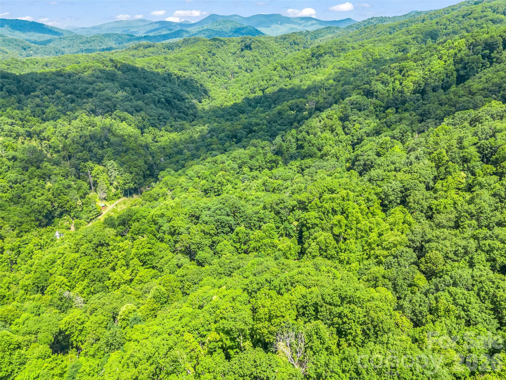 20 Kimberly Road — Black Mountain