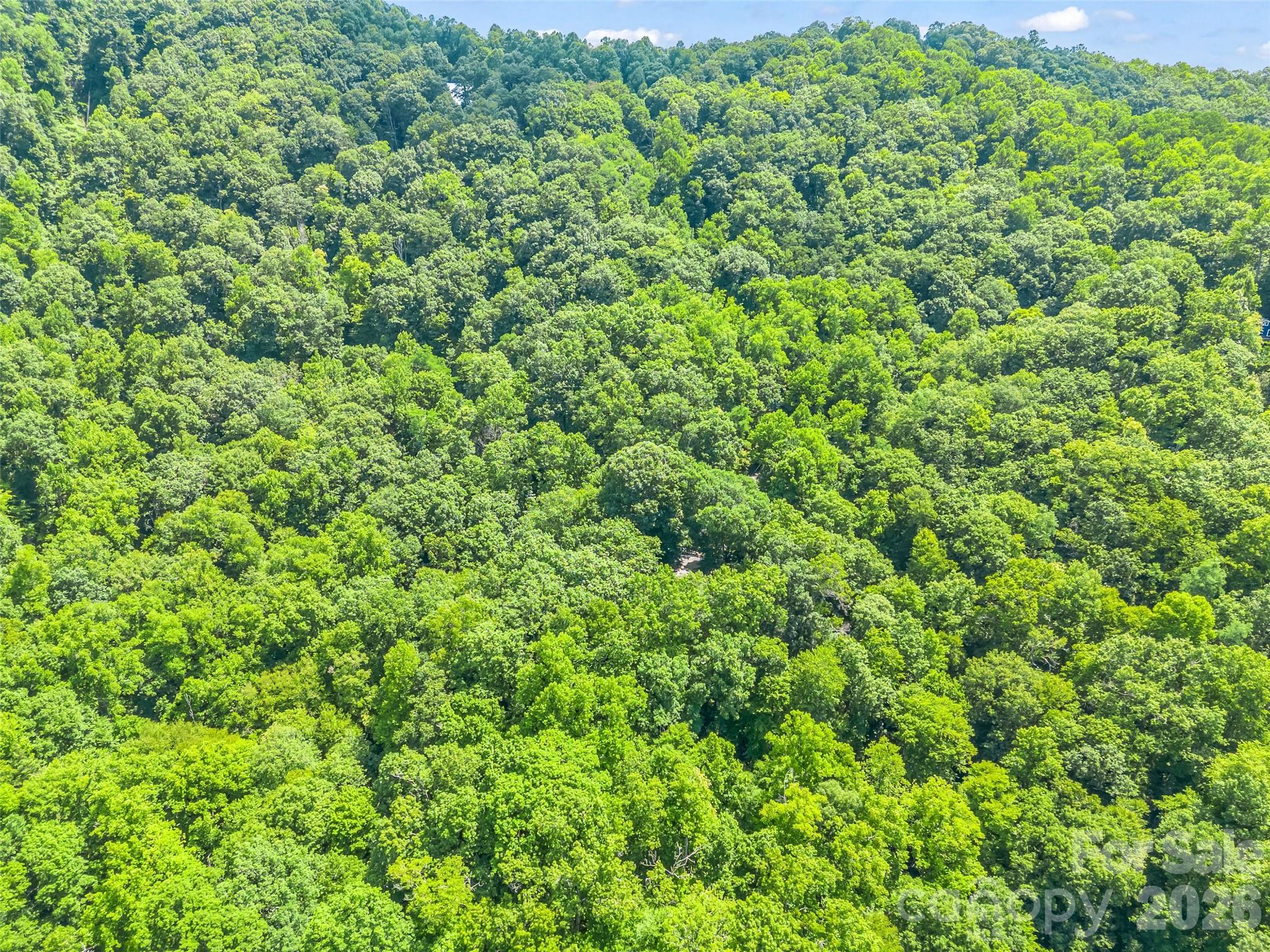 20 Kimberly Road — Black Mountain