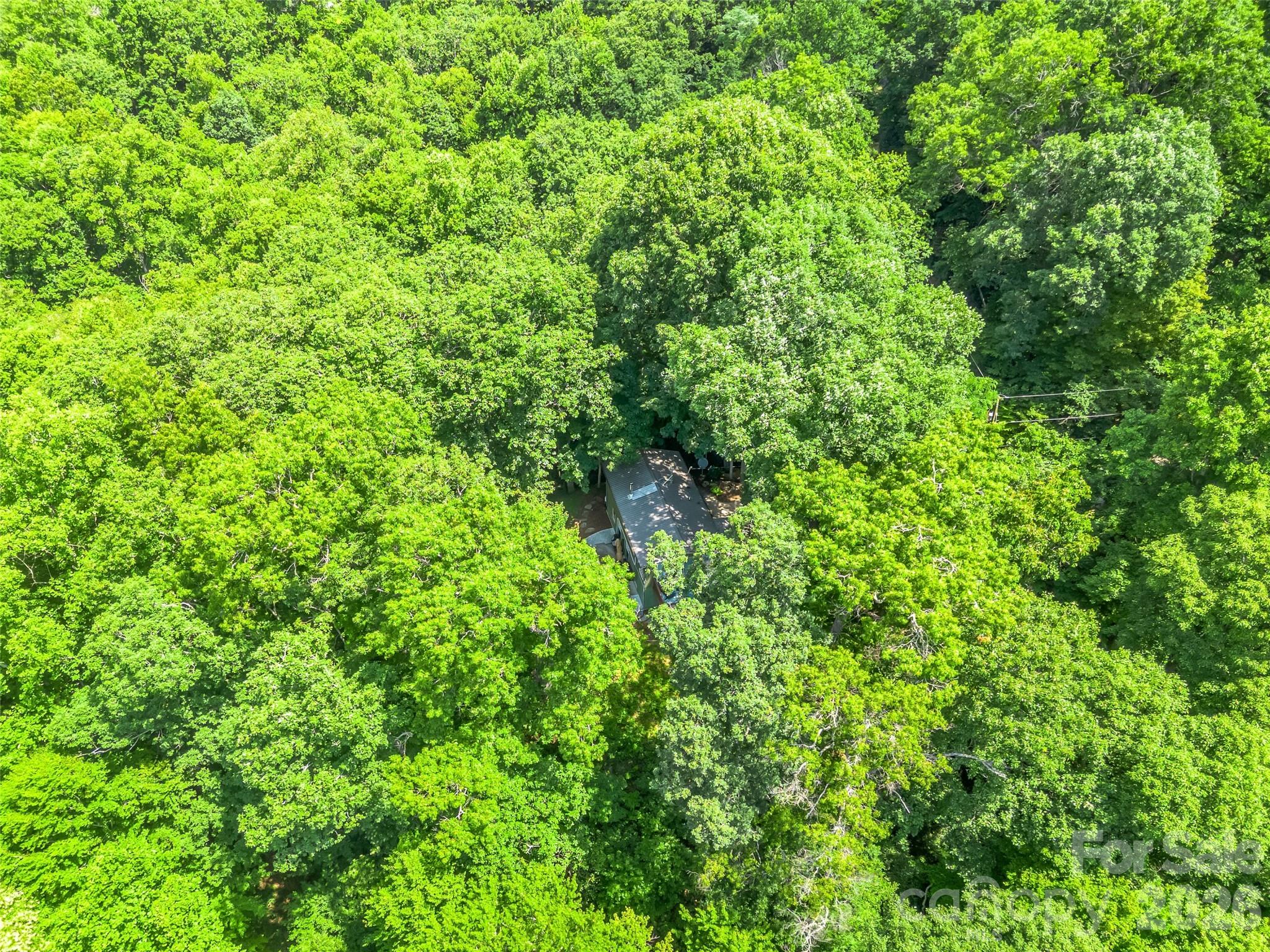20 Kimberly Road — Black Mountain