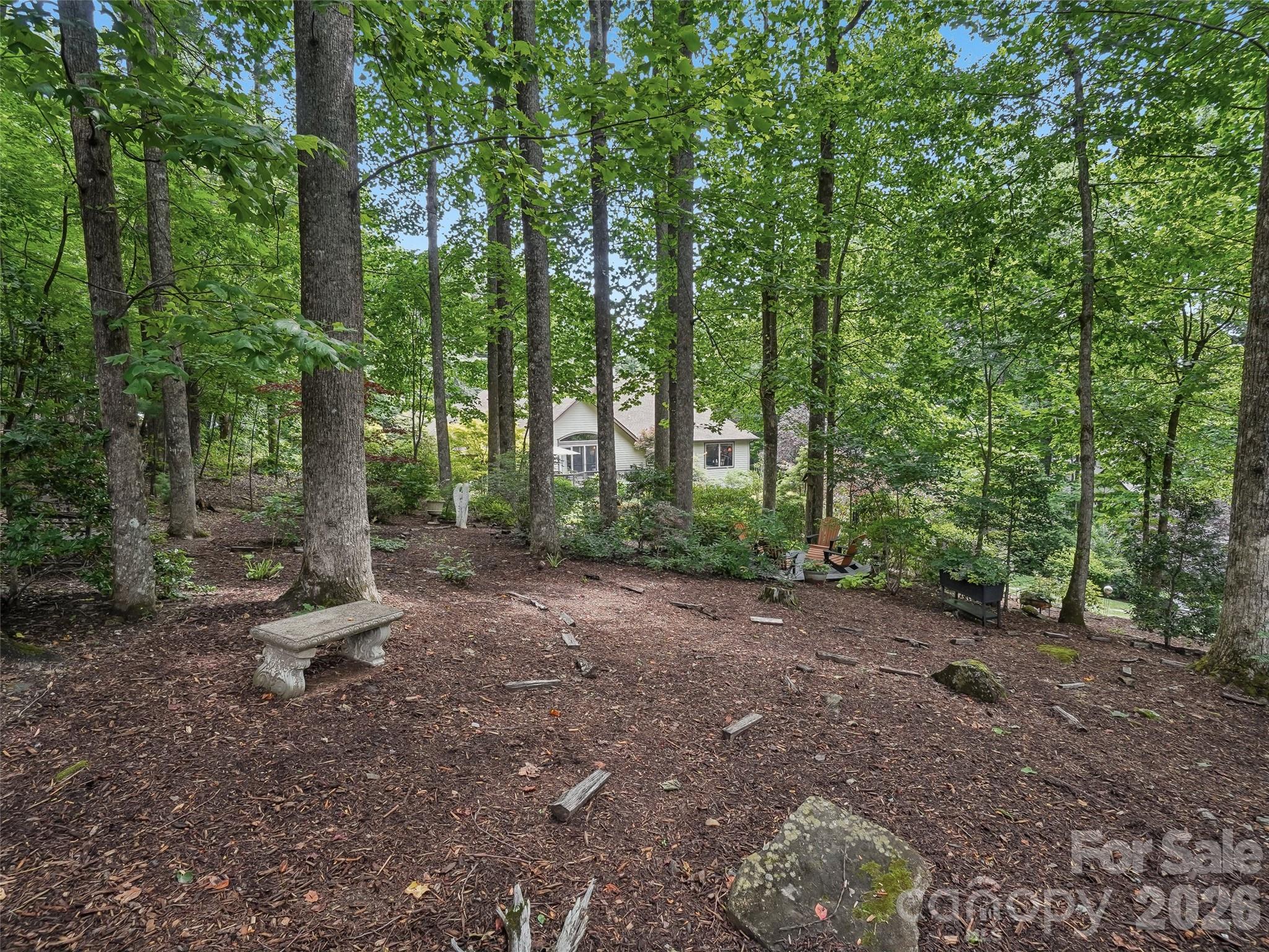300 Pinnacle Peak Lane — Flat Rock