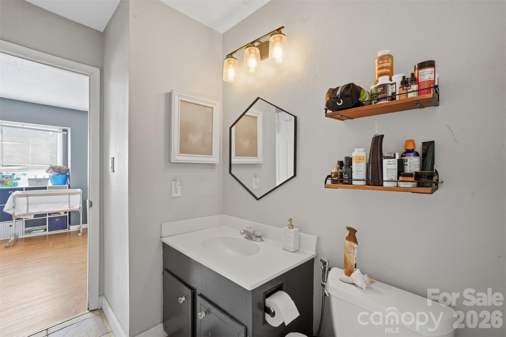 8338 Cricket Lake Drive — Charlotte