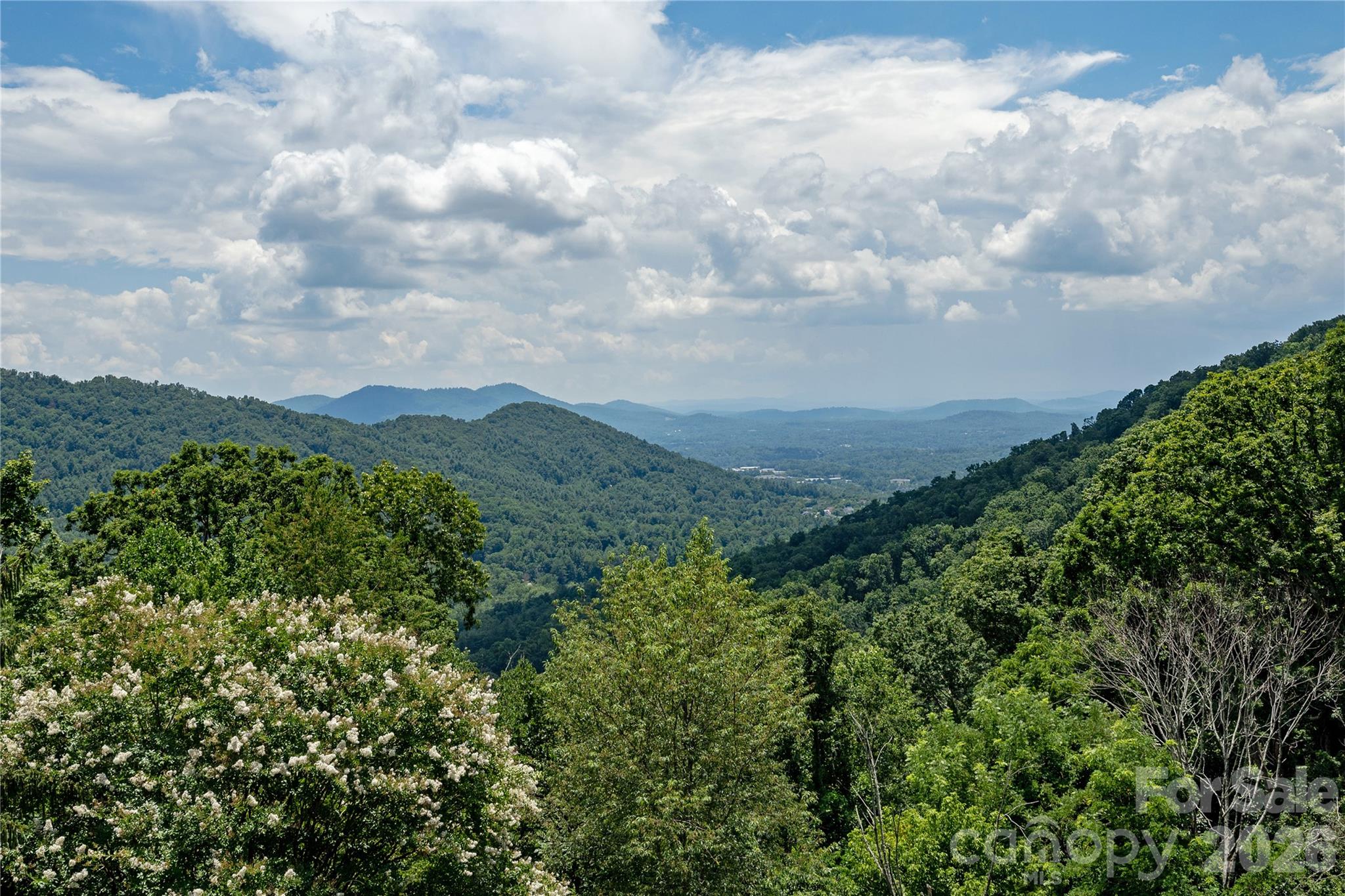 811 Town Mountain Road — Asheville