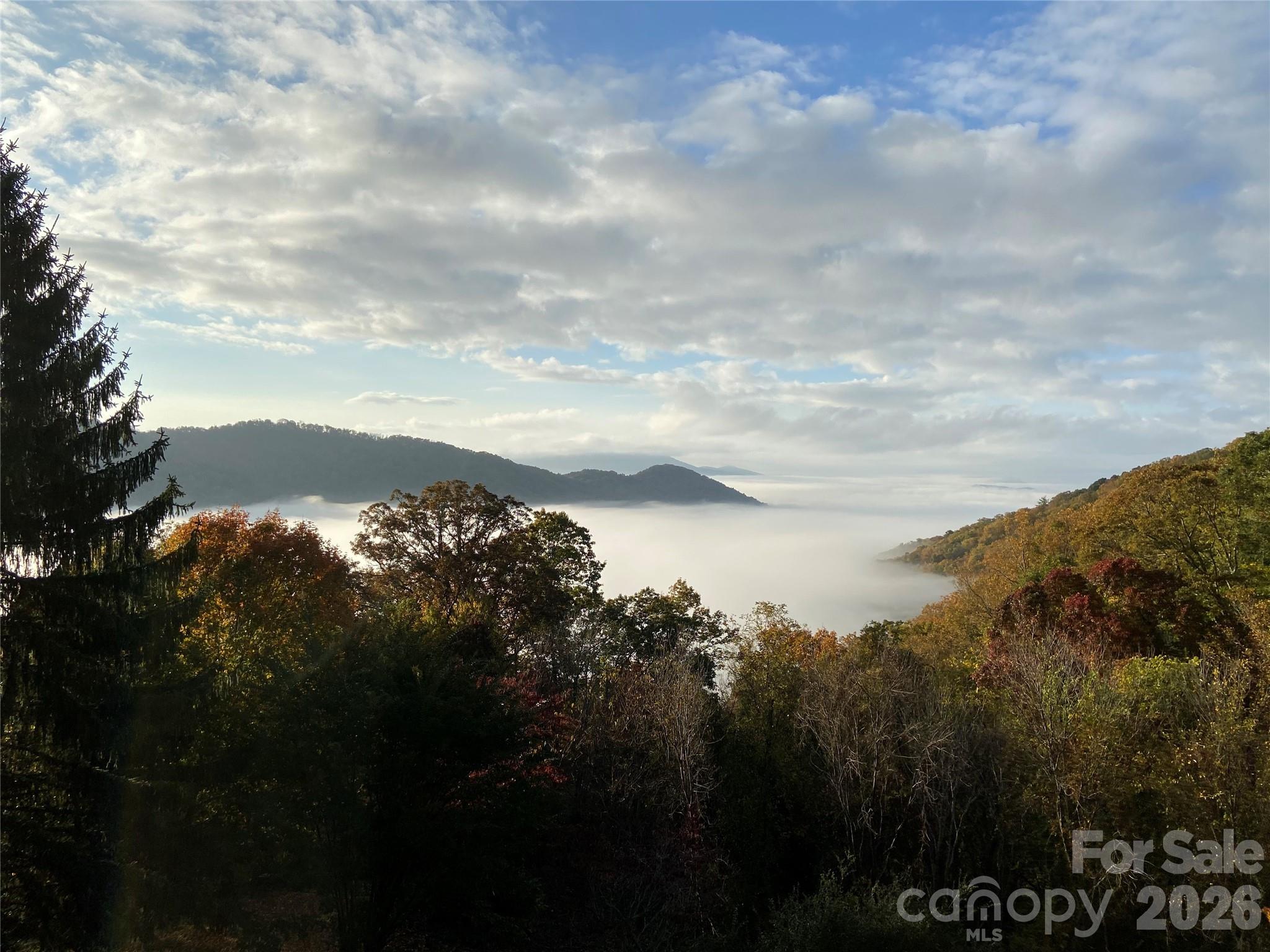 811 Town Mountain Road — Asheville