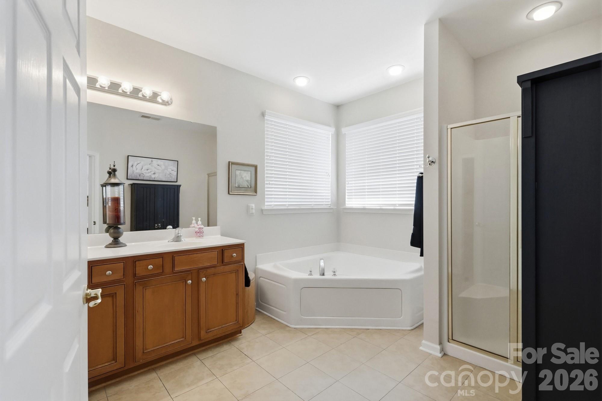 970 Platinum Drive — Fort Mill