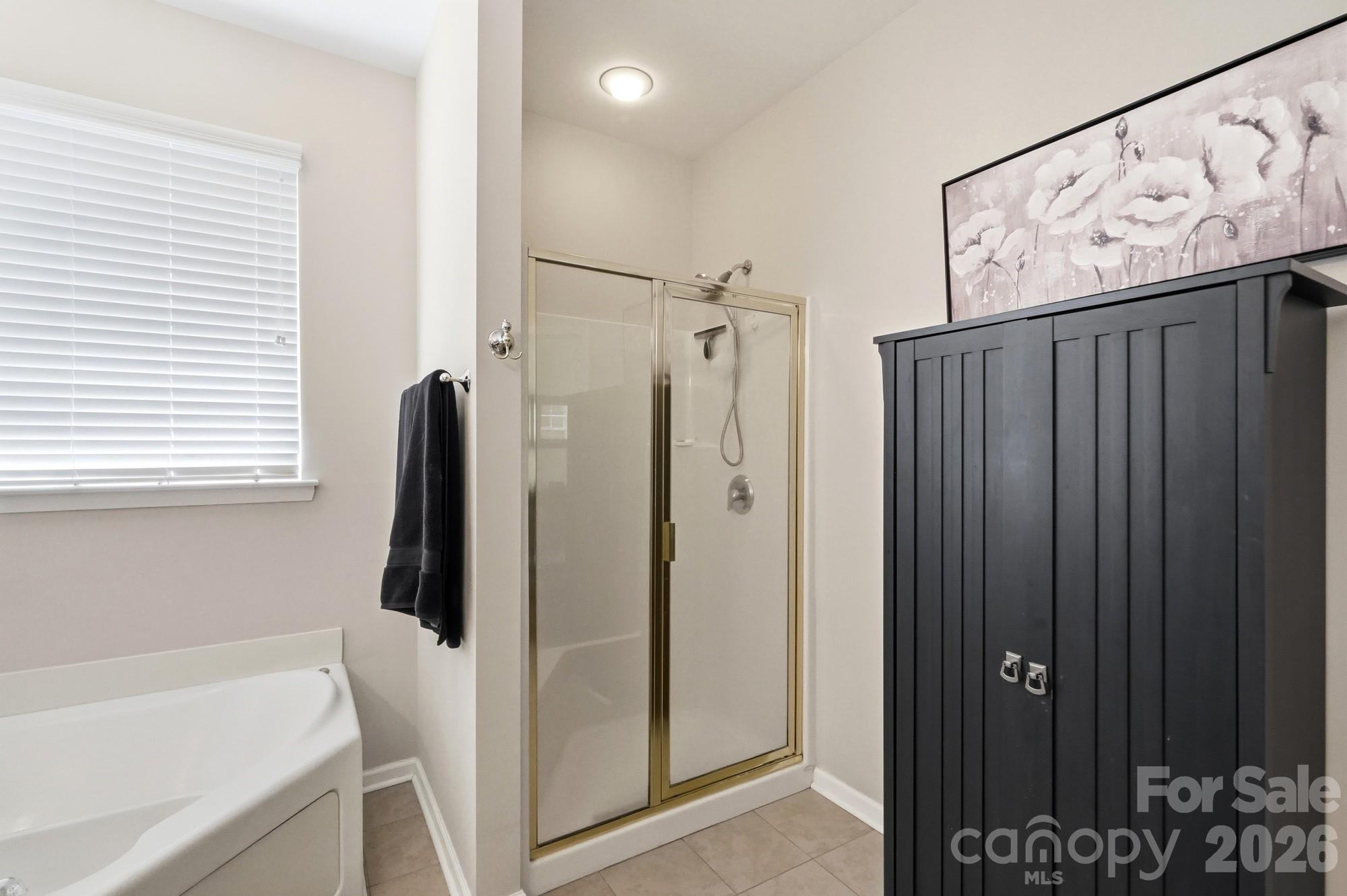 970 Platinum Drive — Fort Mill