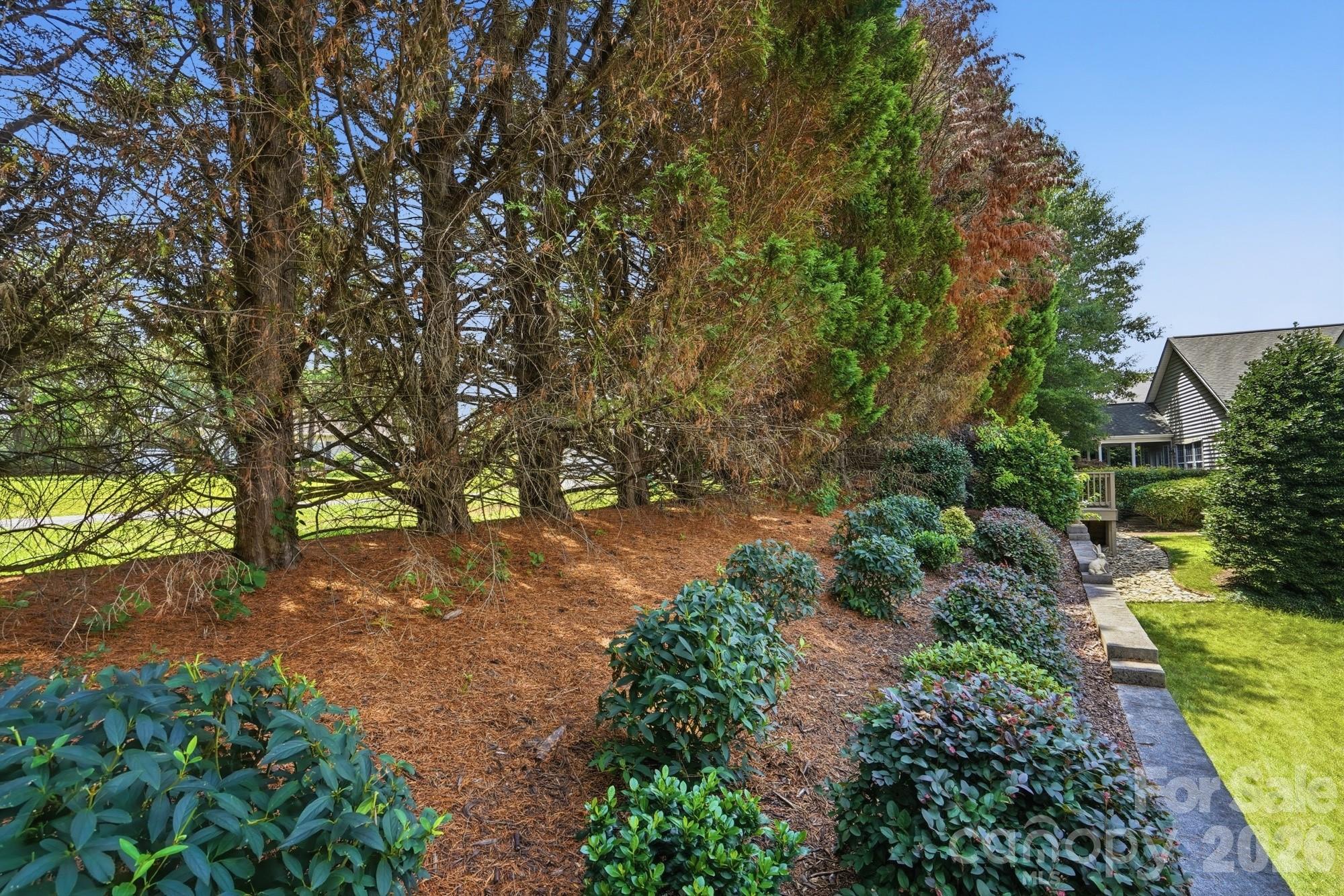 970 Platinum Drive — Fort Mill