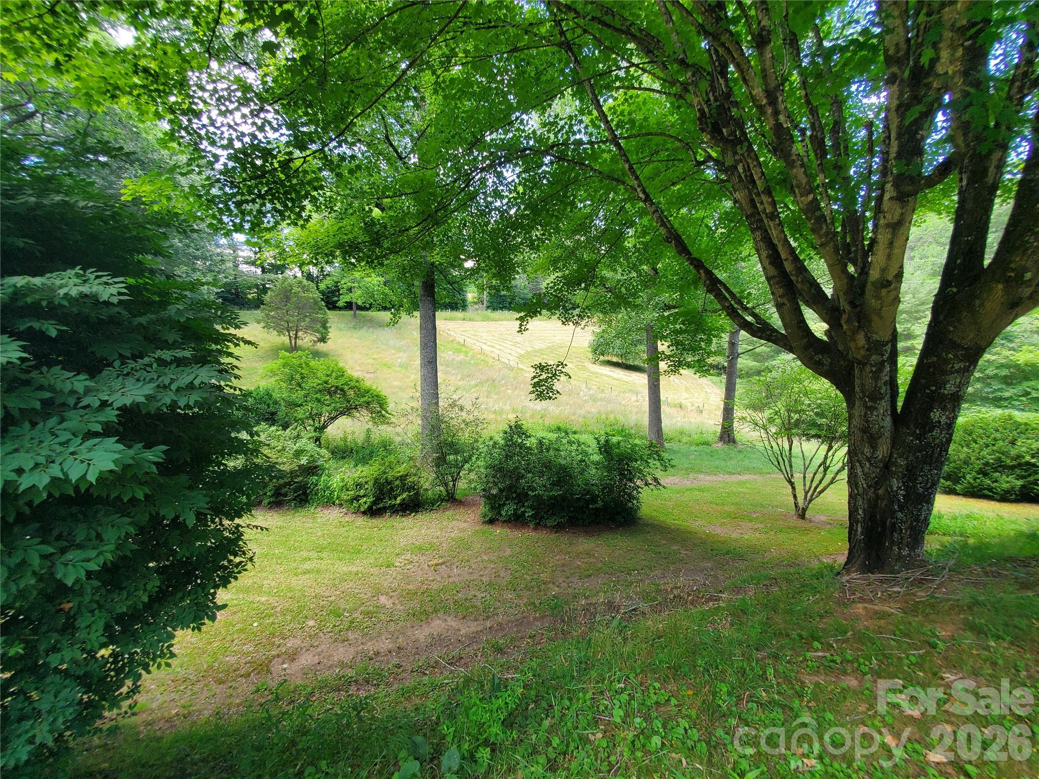 886 Hanging Rock Road — Spruce Pine