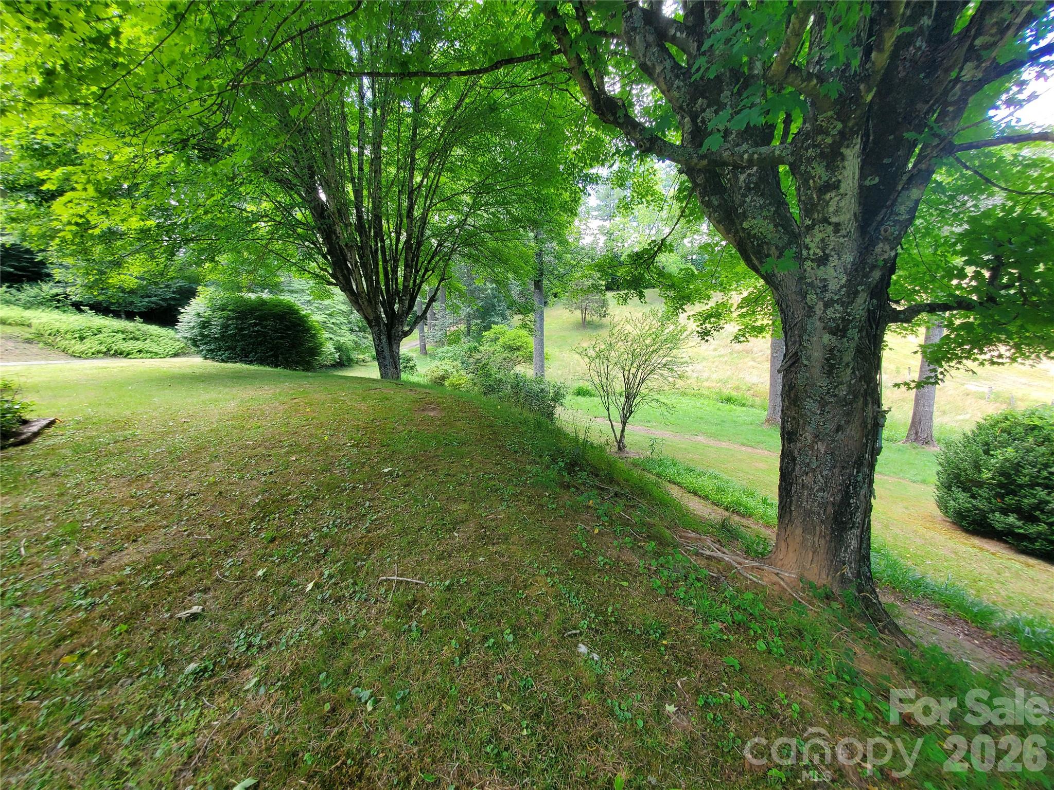 886 Hanging Rock Road — Spruce Pine