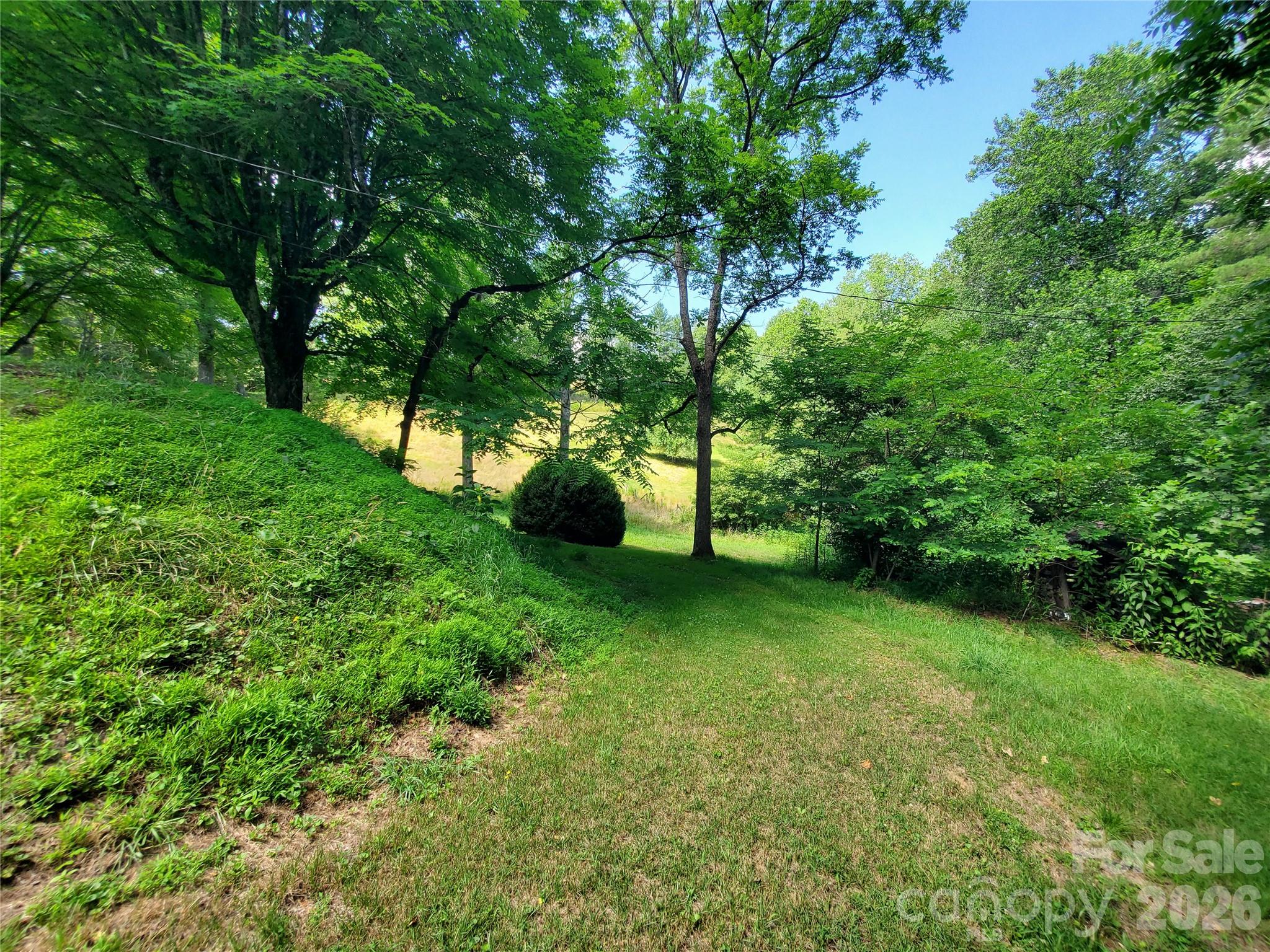 886 Hanging Rock Road — Spruce Pine
