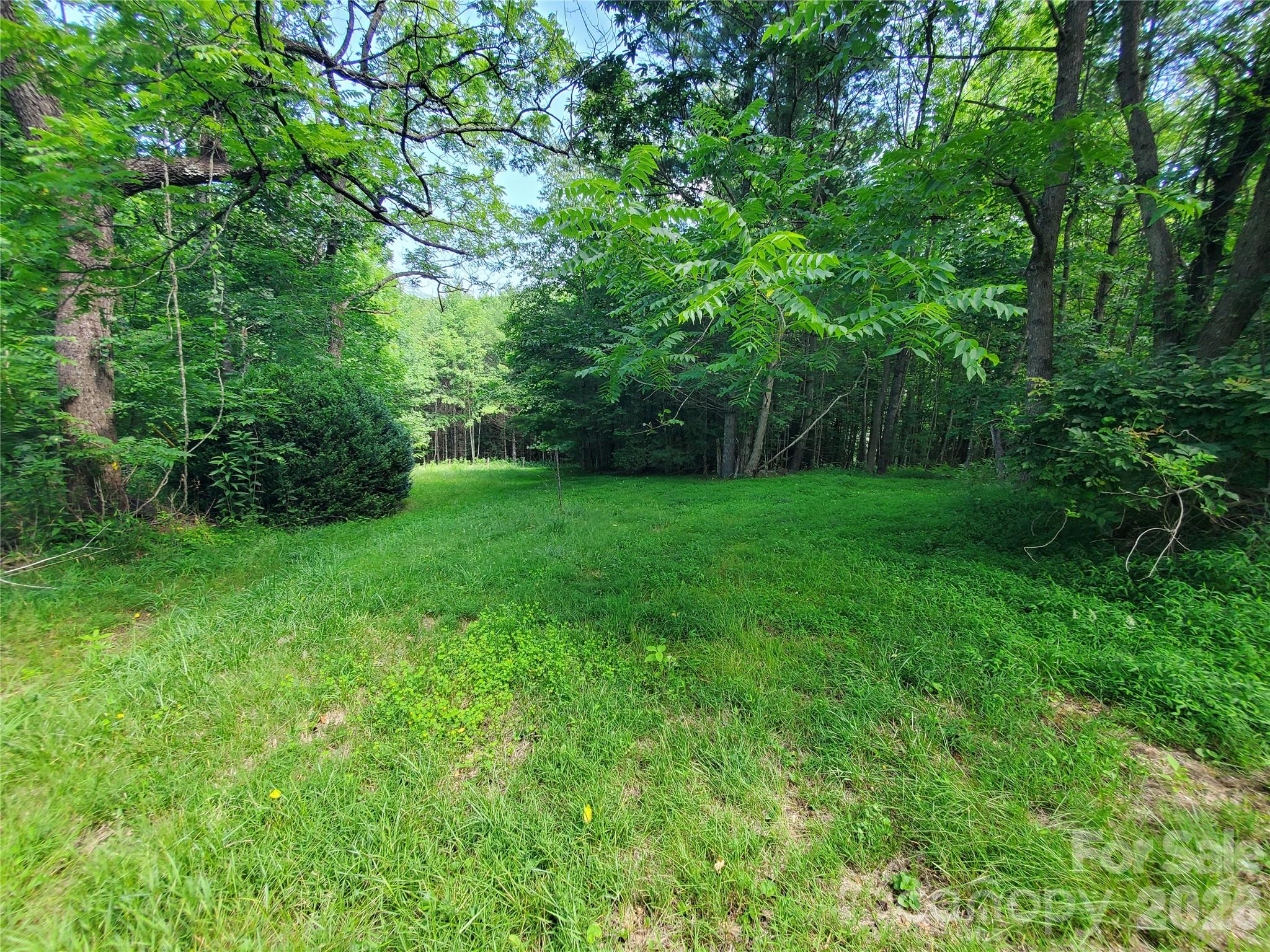 886 Hanging Rock Road — Spruce Pine