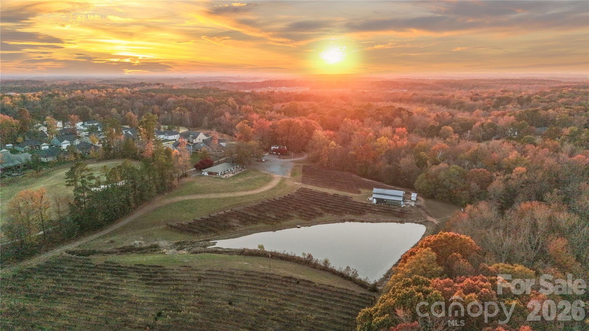 11685 Reed Mine Road — Midland