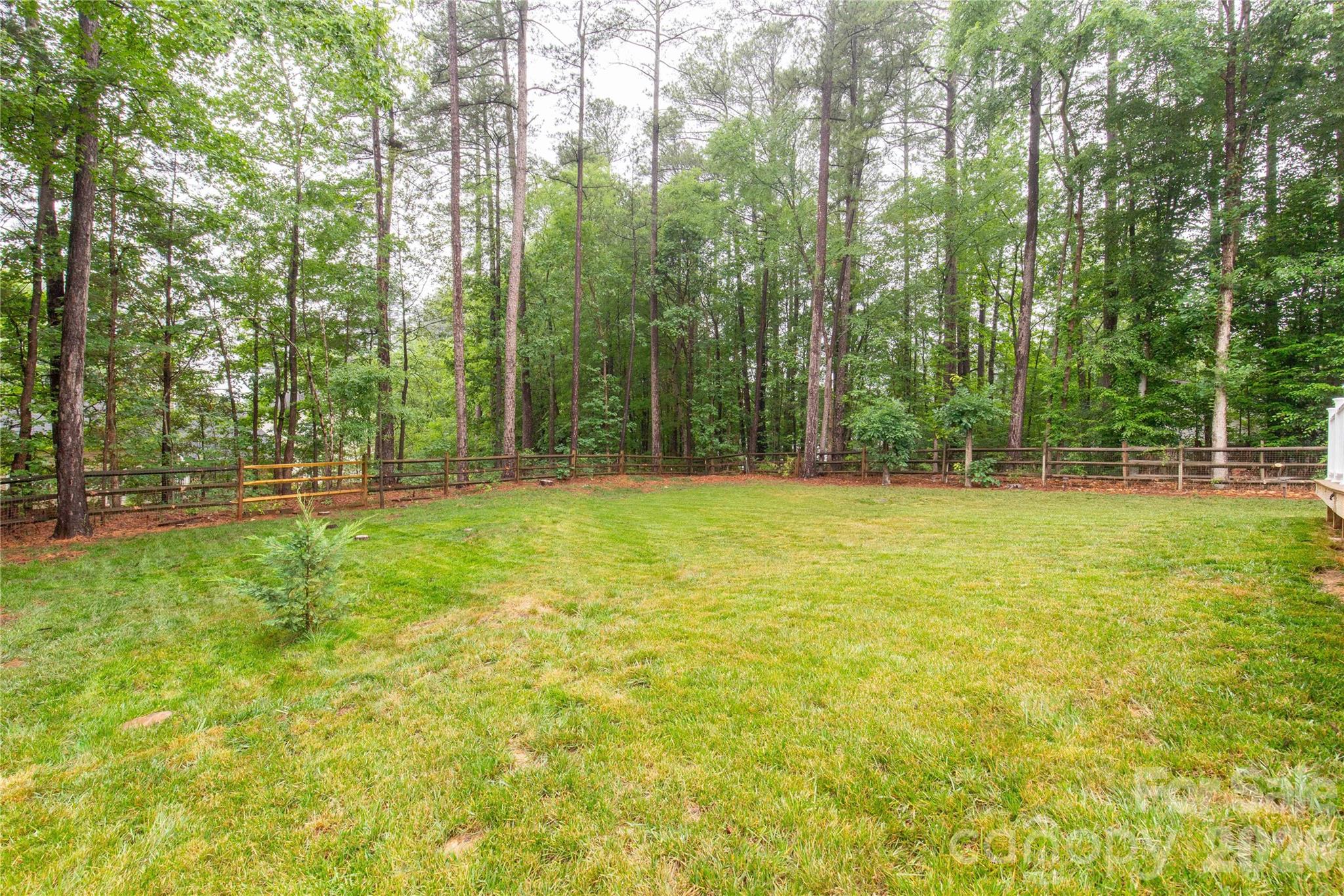 12819 Matisse Lane — Charlotte