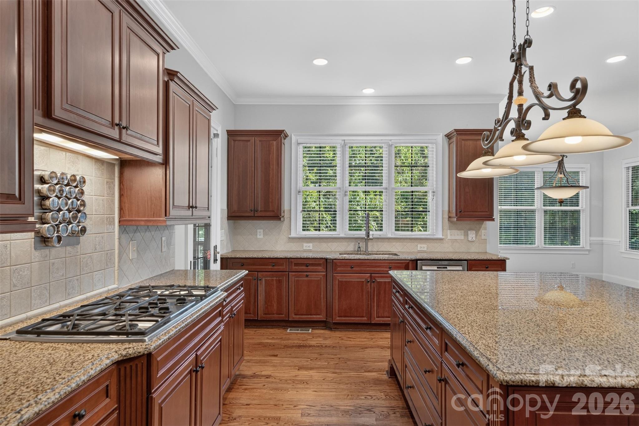 3003 Ocaso Court — Matthews