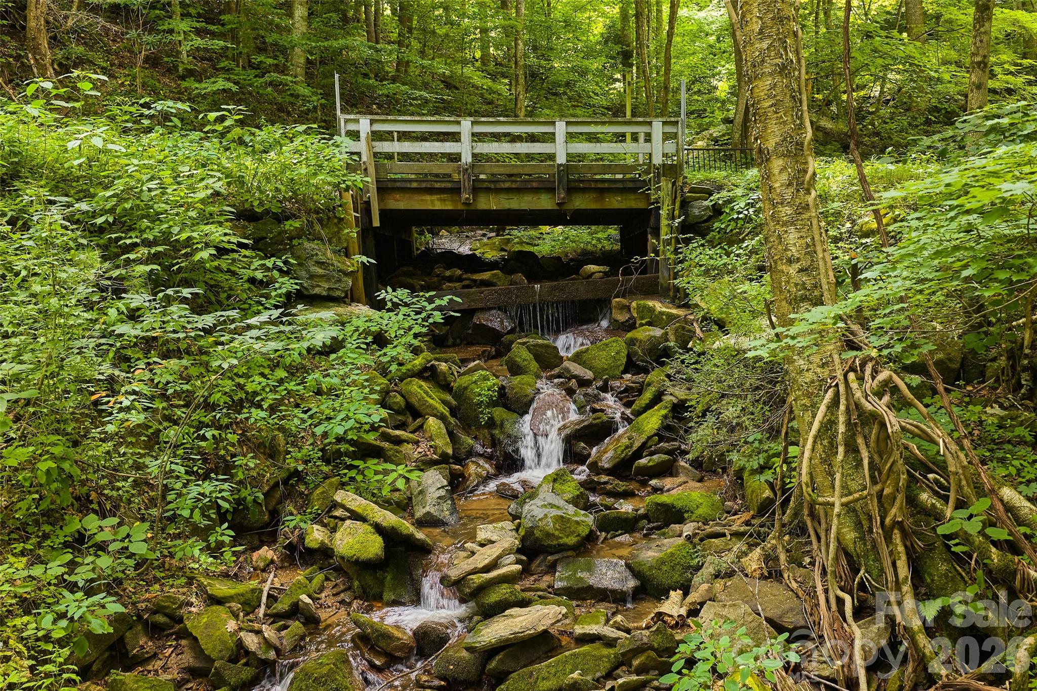 1482 Howard Moore Road — Hot Springs