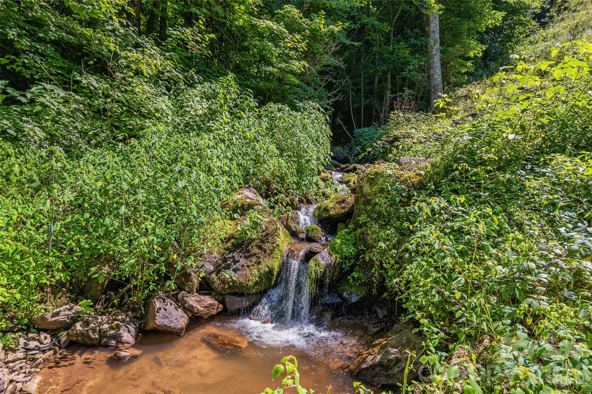 1482 Howard Moore Road — Hot Springs