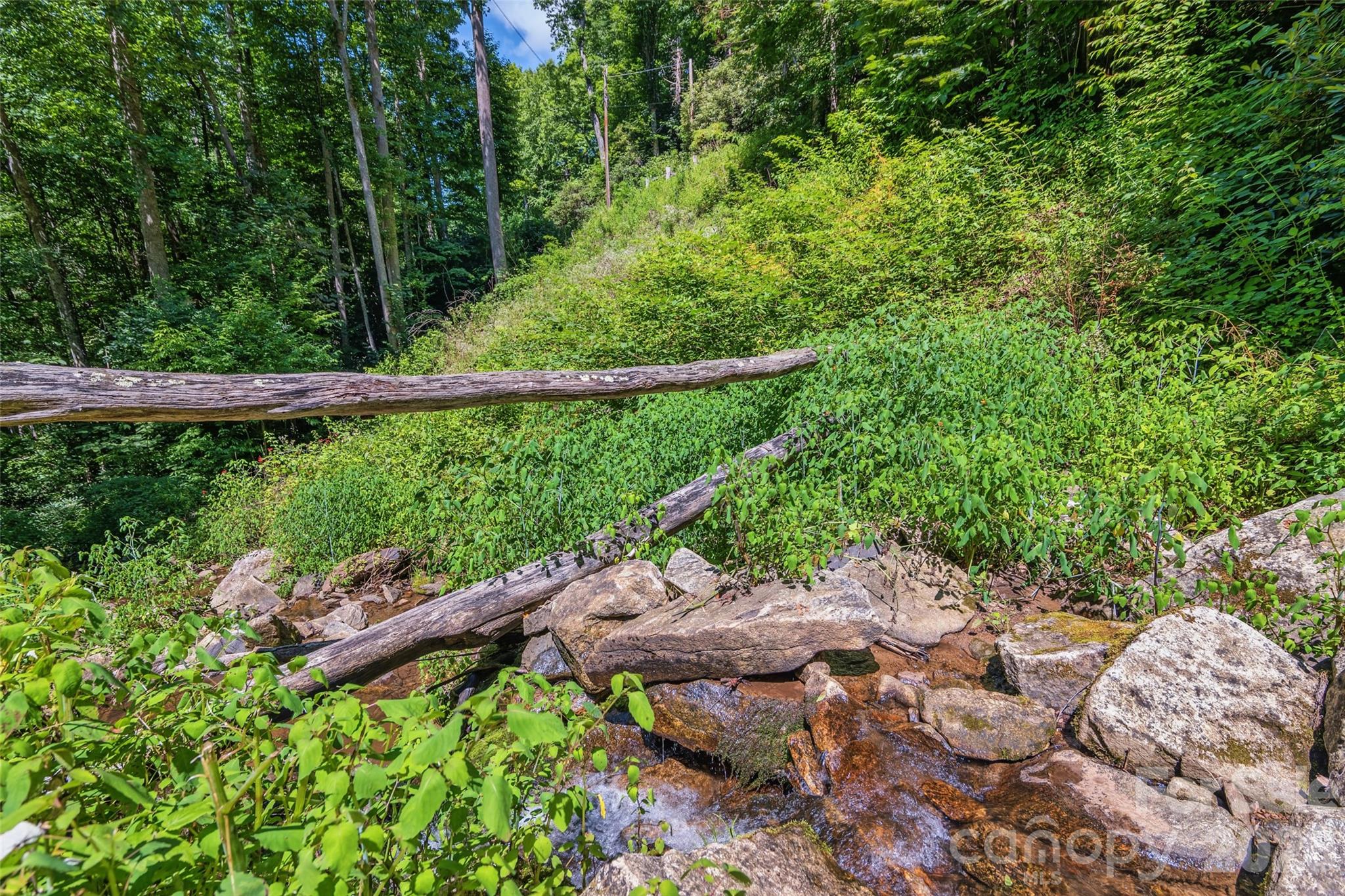 1482 Howard Moore Road — Hot Springs
