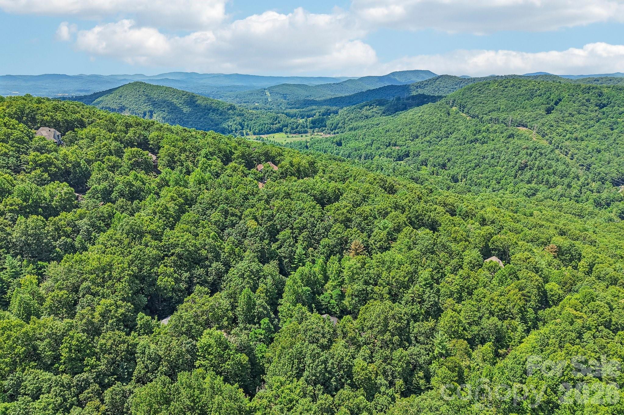 10 Cedar Drive — Mills River