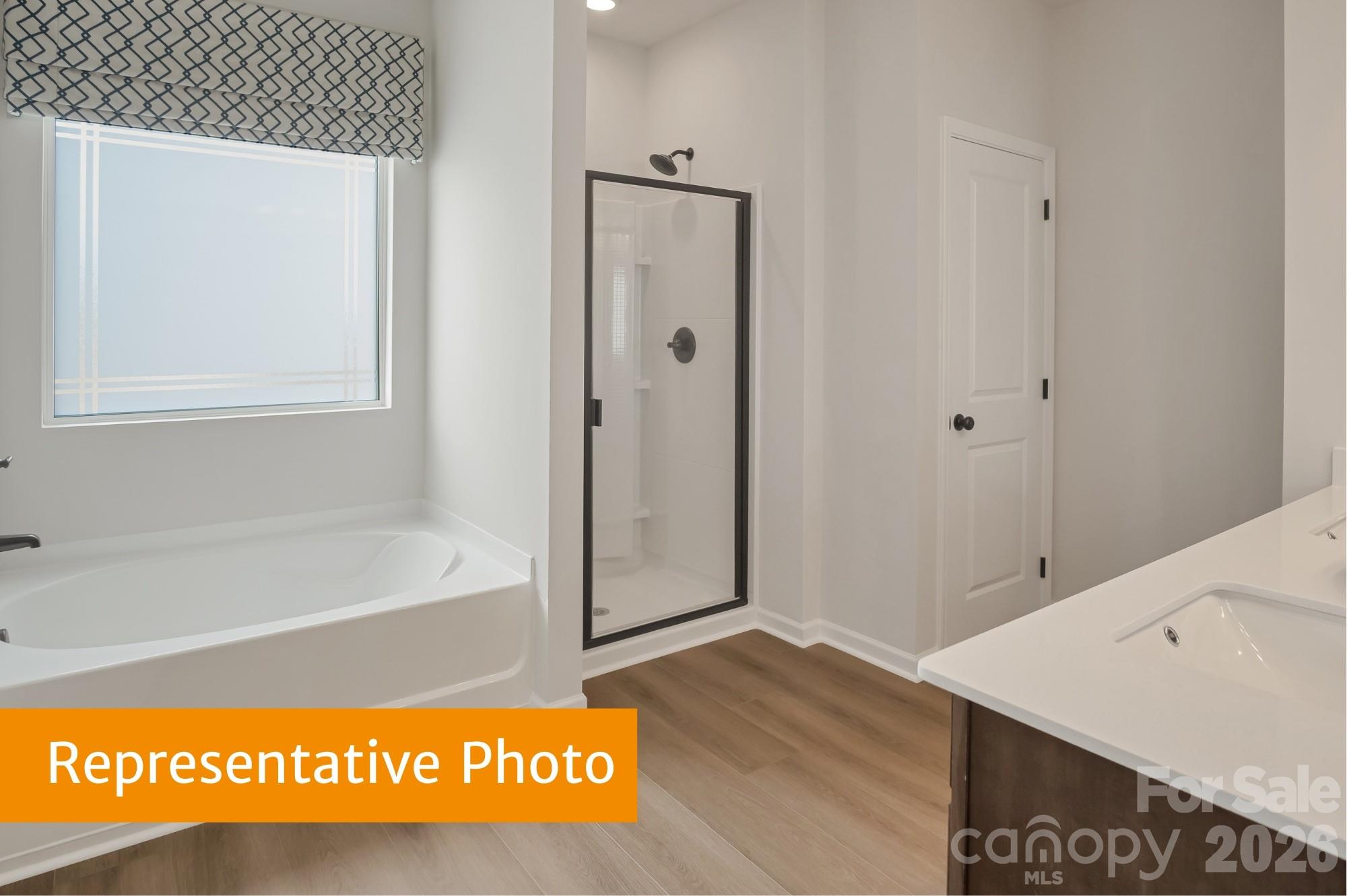 4203 Ruth Creek Court — Charlotte