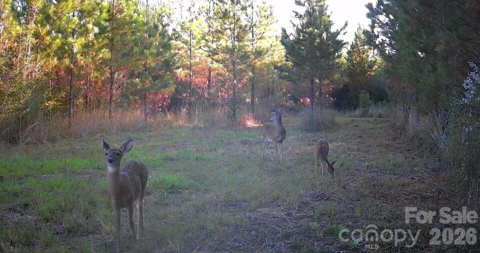 7848 NC Hwy 47 Highway — Lexington