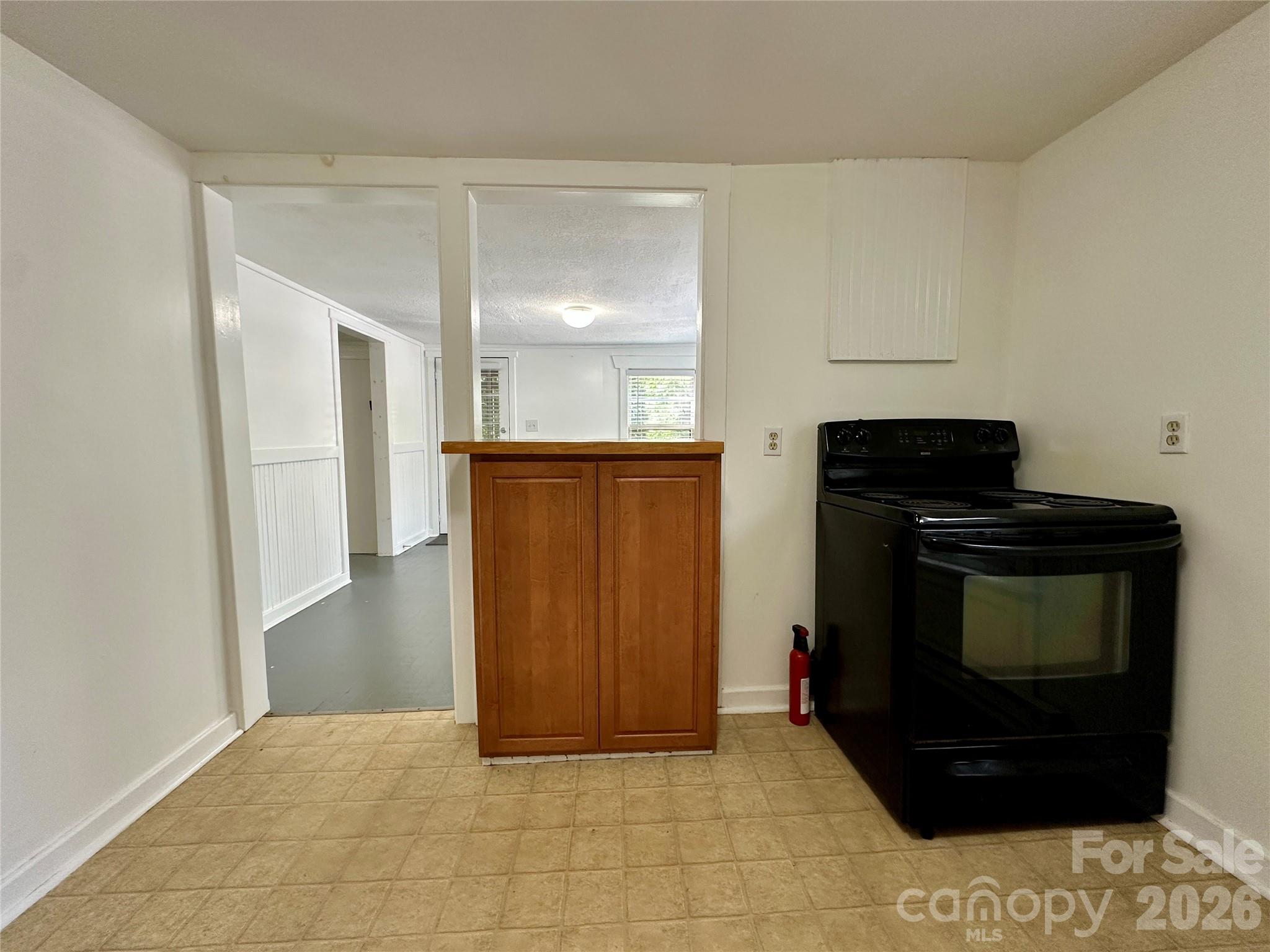 4 Arbutus Road — Asheville