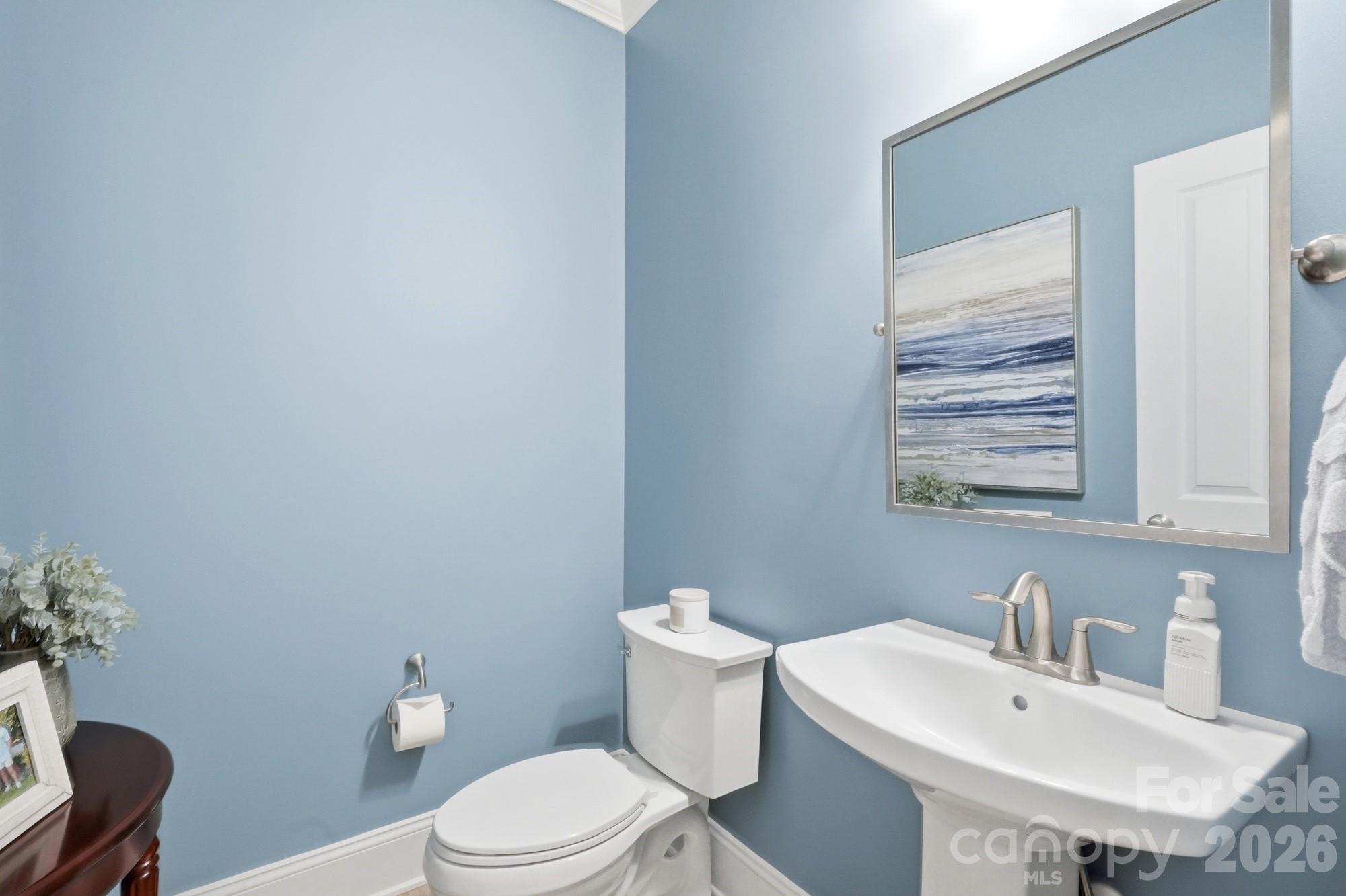 832 Savile Lane — Fort Mill