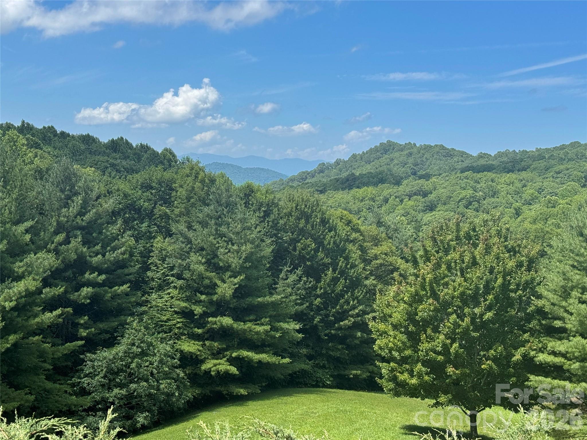 299 Basswood Road — Hot Springs