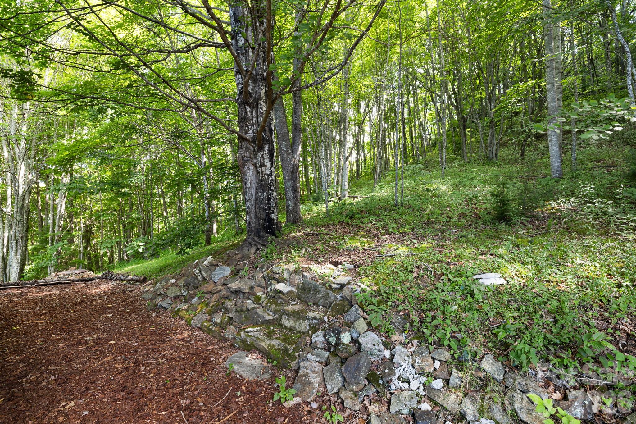 299 Basswood Road — Hot Springs