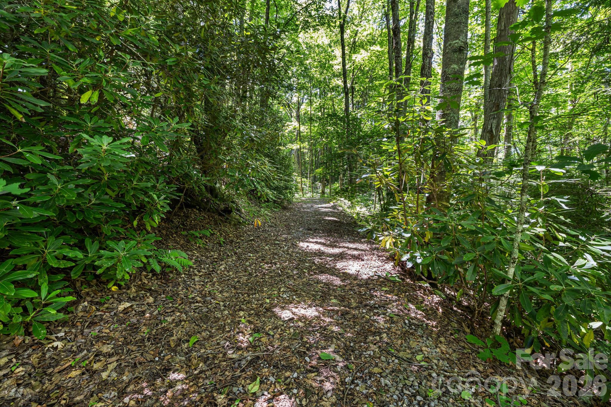 299 Basswood Road — Hot Springs