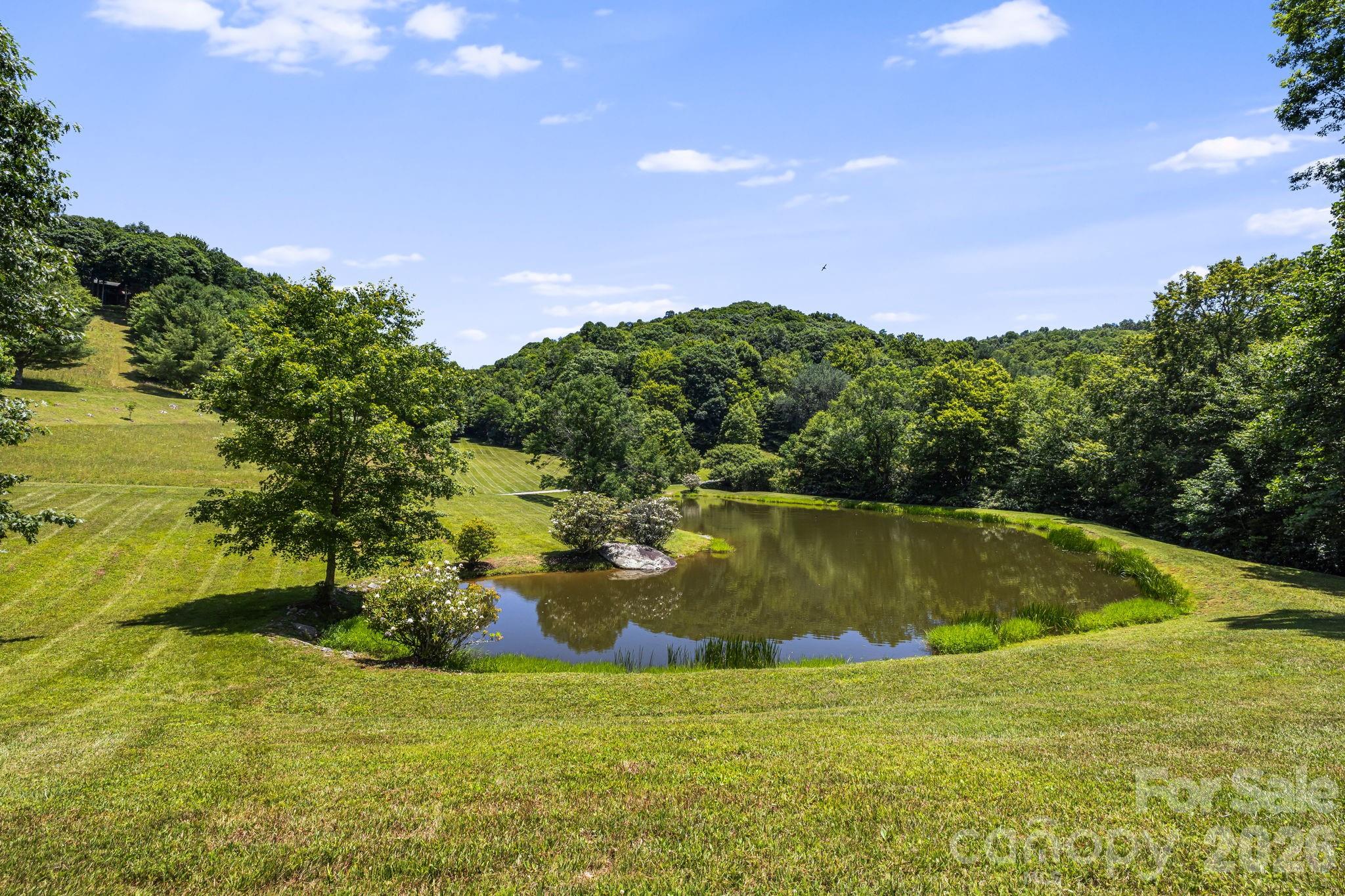 299 Basswood Road — Hot Springs
