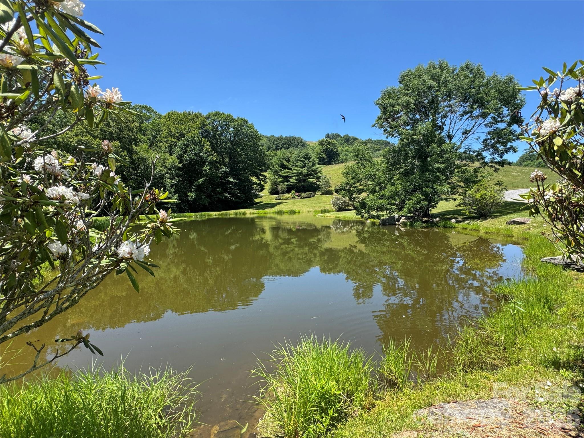 299 Basswood Road — Hot Springs
