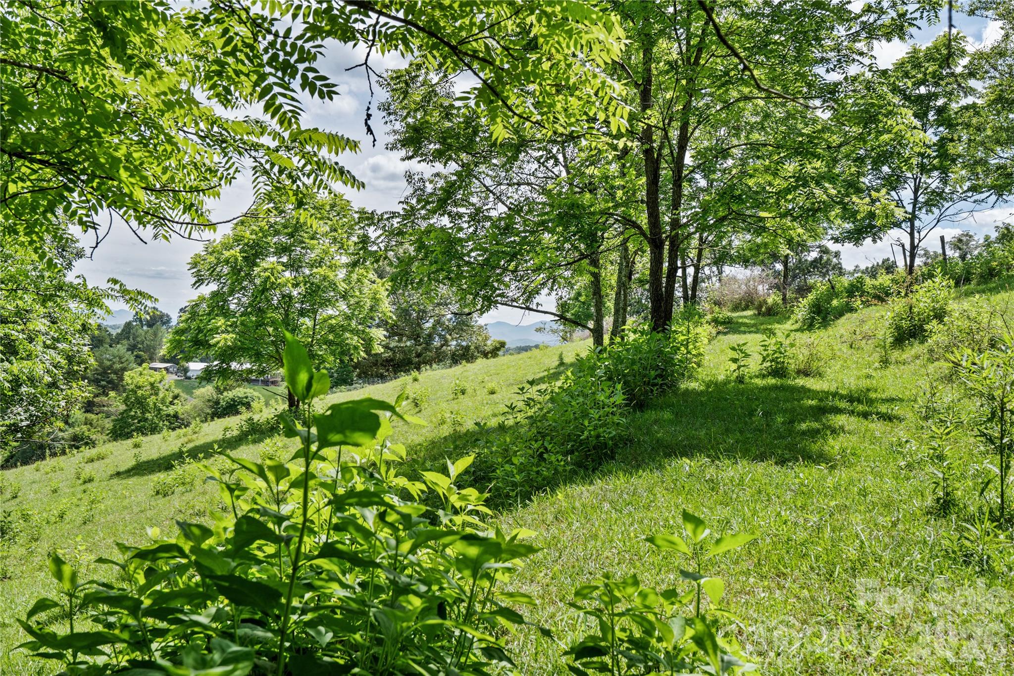 737 Tillery Branch Road — Marshall