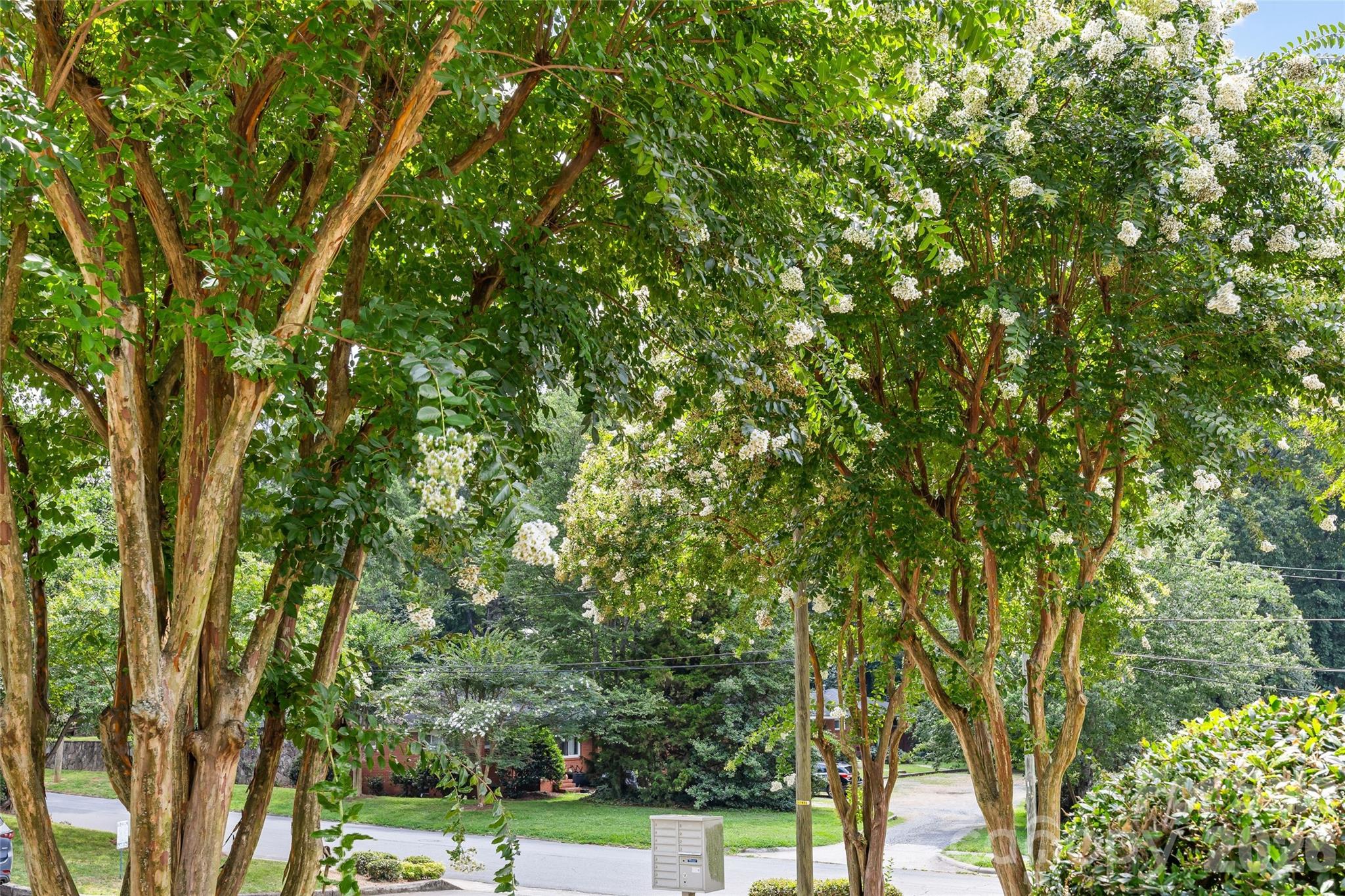1562 Pecan Avenue — Charlotte