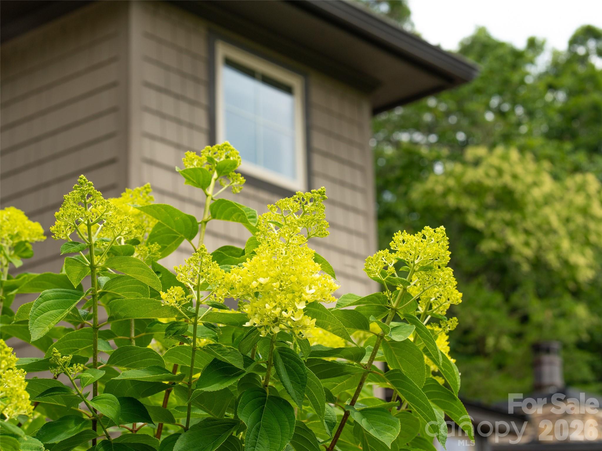 101 Glen Trillium Drive — Fletcher