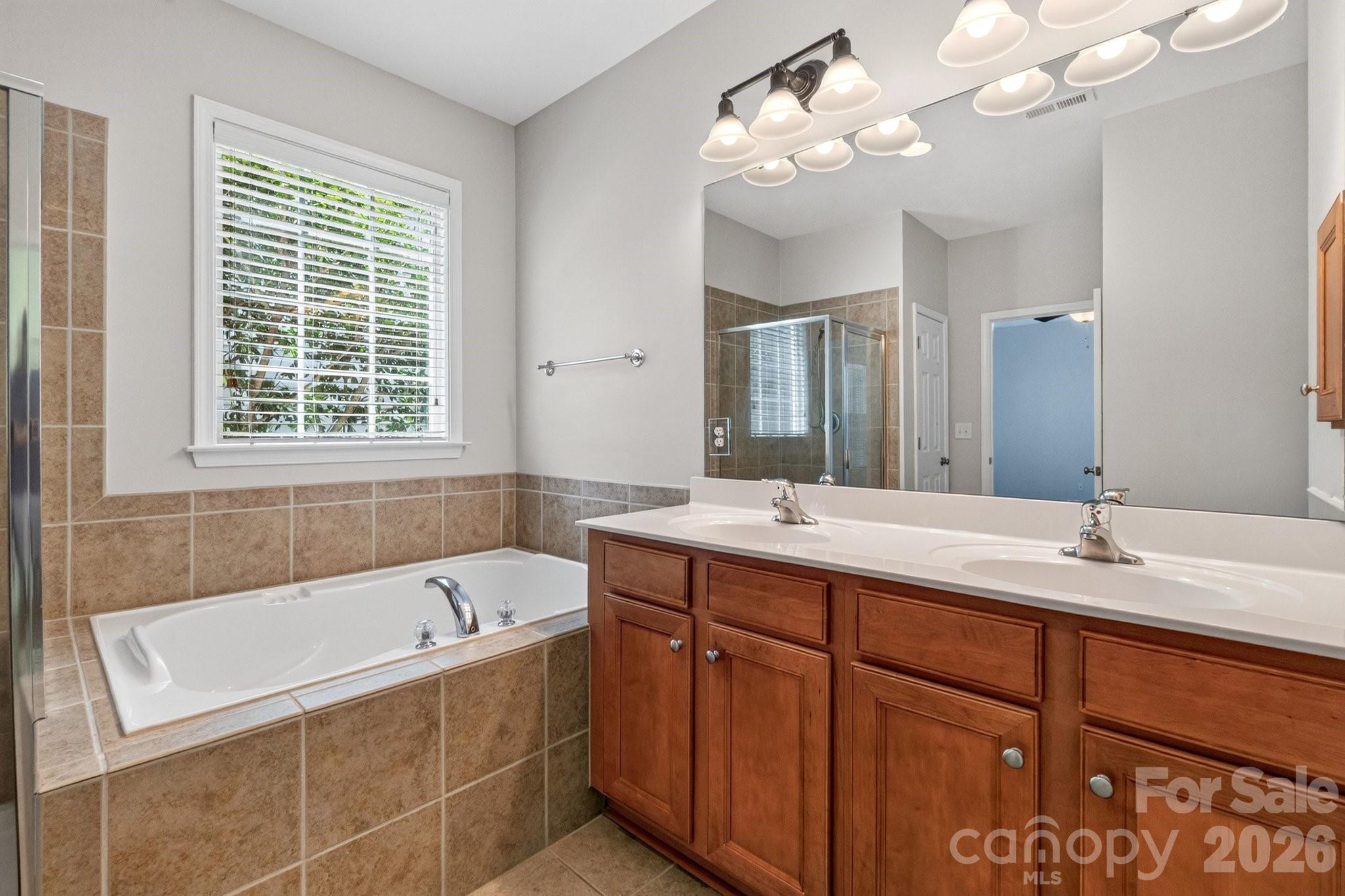 17620 Harbor Walk Drive — Cornelius