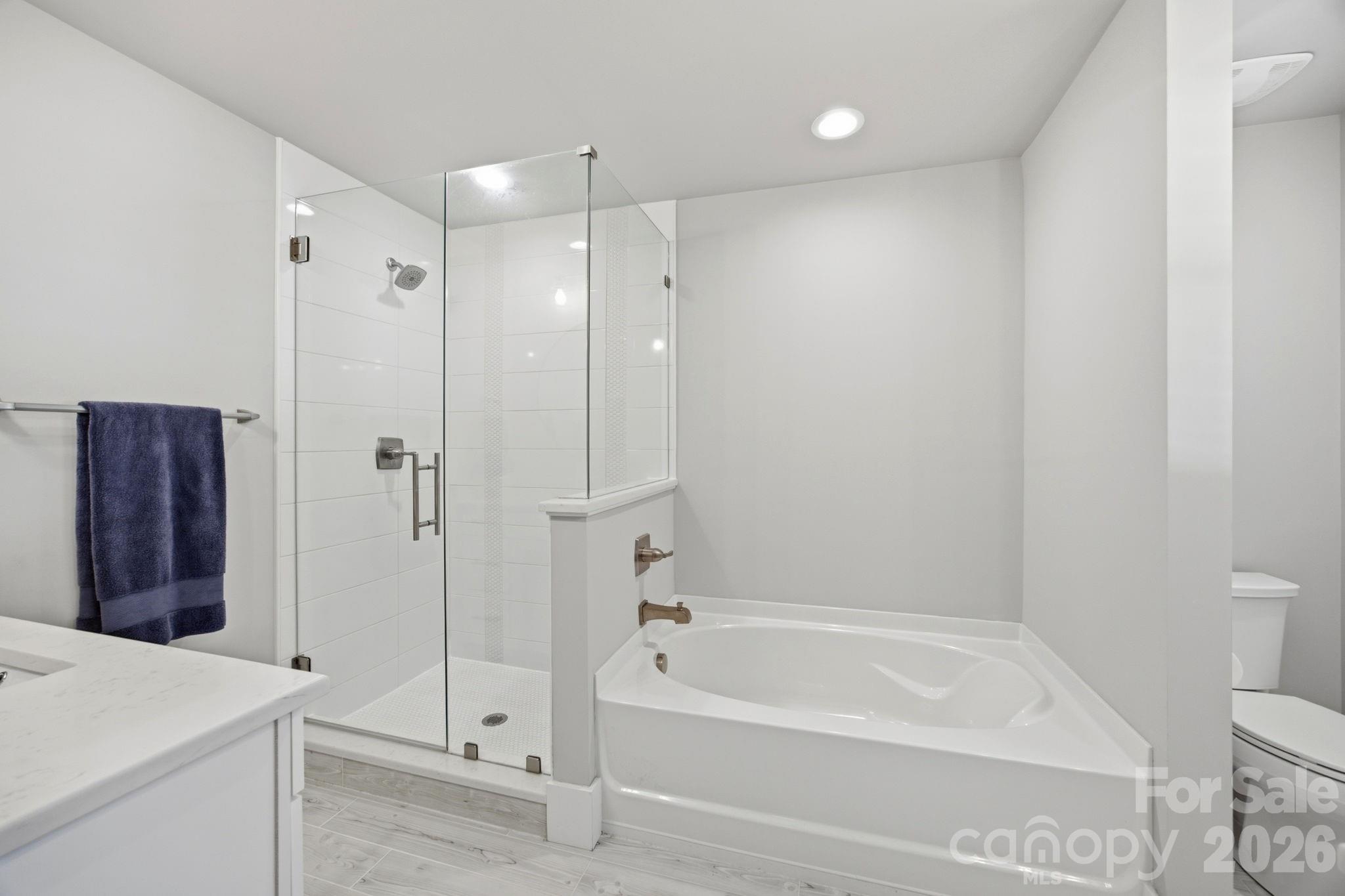 229 Elysian Drive — Mooresville