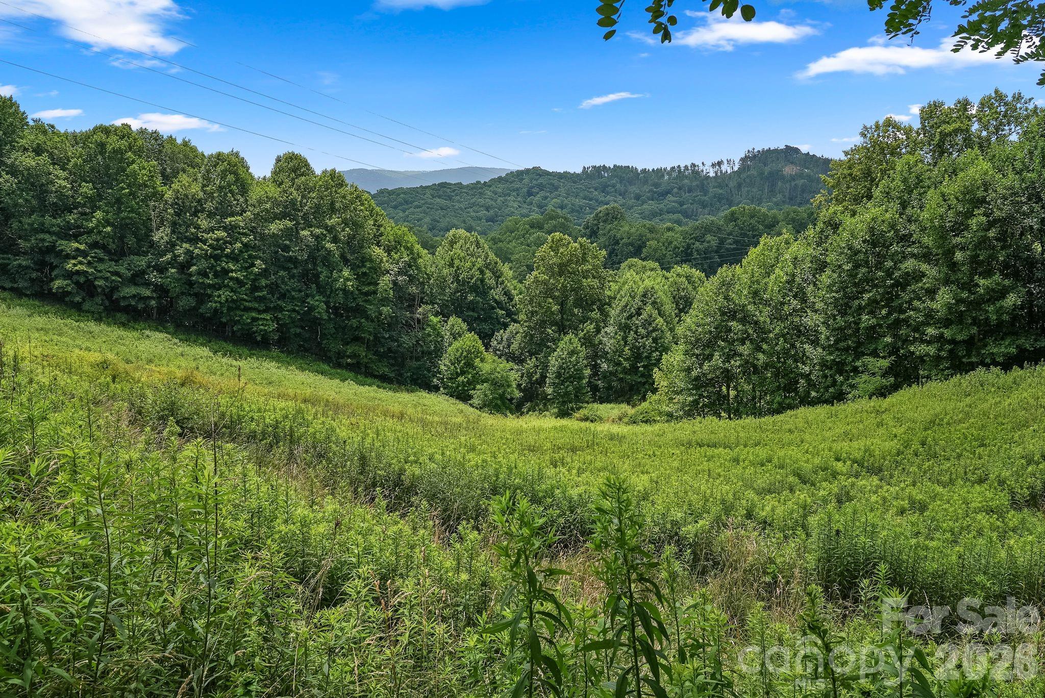 244 Flat Springs Road — Elk Park