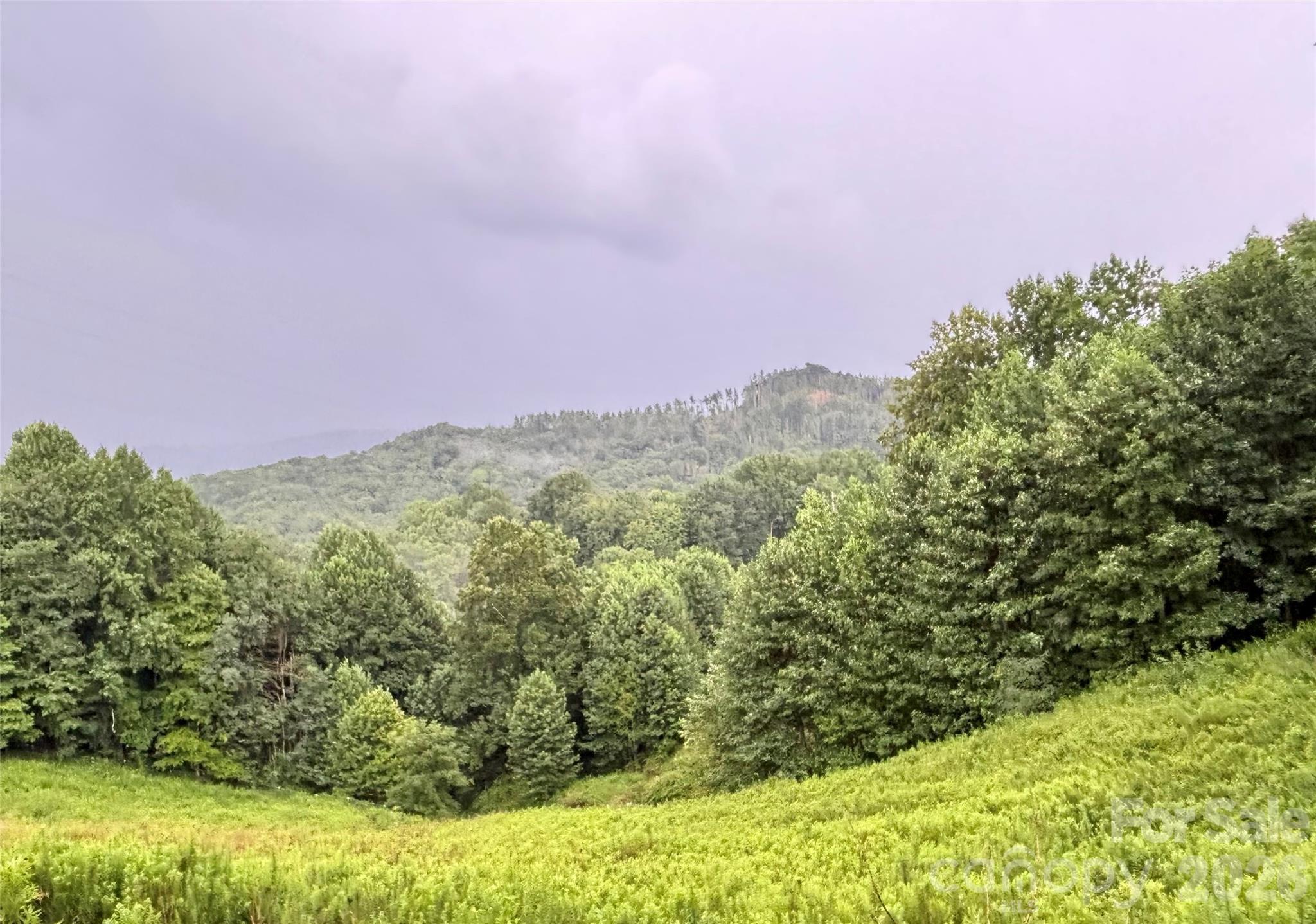 244 Flat Springs Road — Elk Park