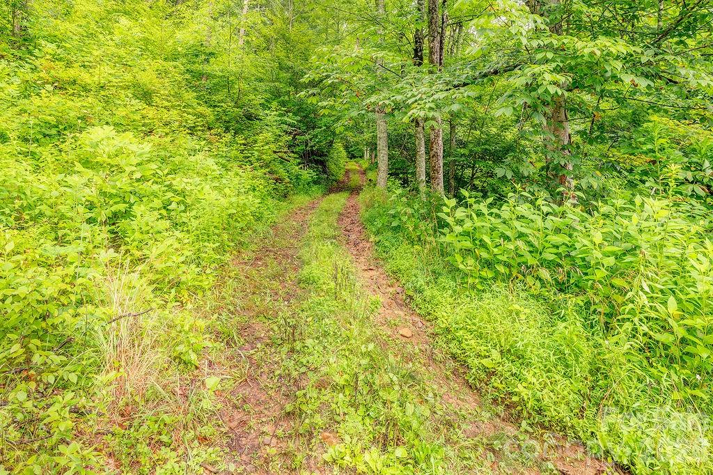 8485 Meadow Fork Road — Hot Springs