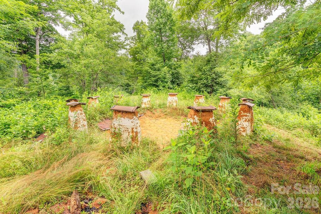 8485 Meadow Fork Road — Hot Springs