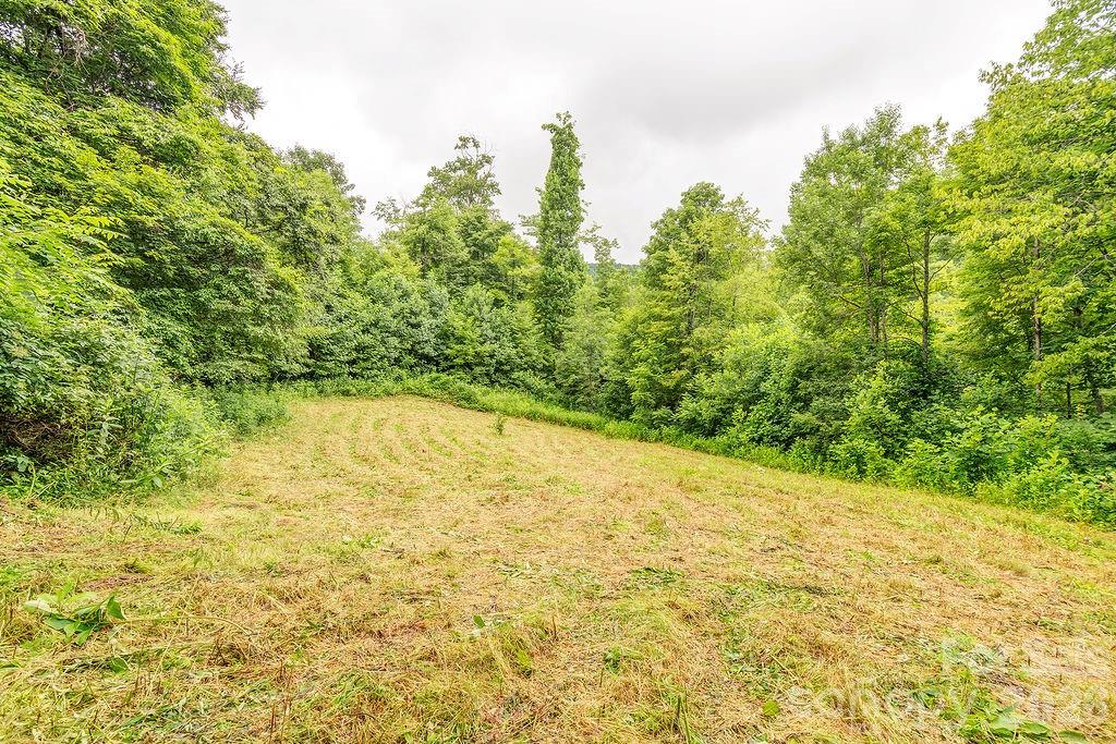 8485 Meadow Fork Road — Hot Springs