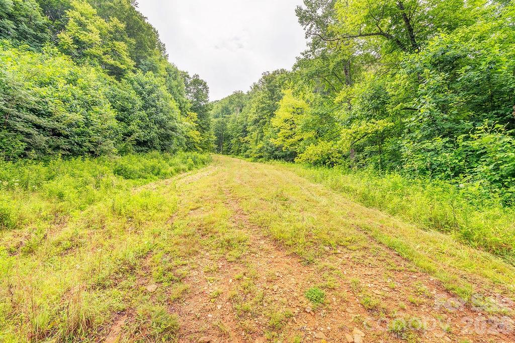 8485 Meadow Fork Road — Hot Springs