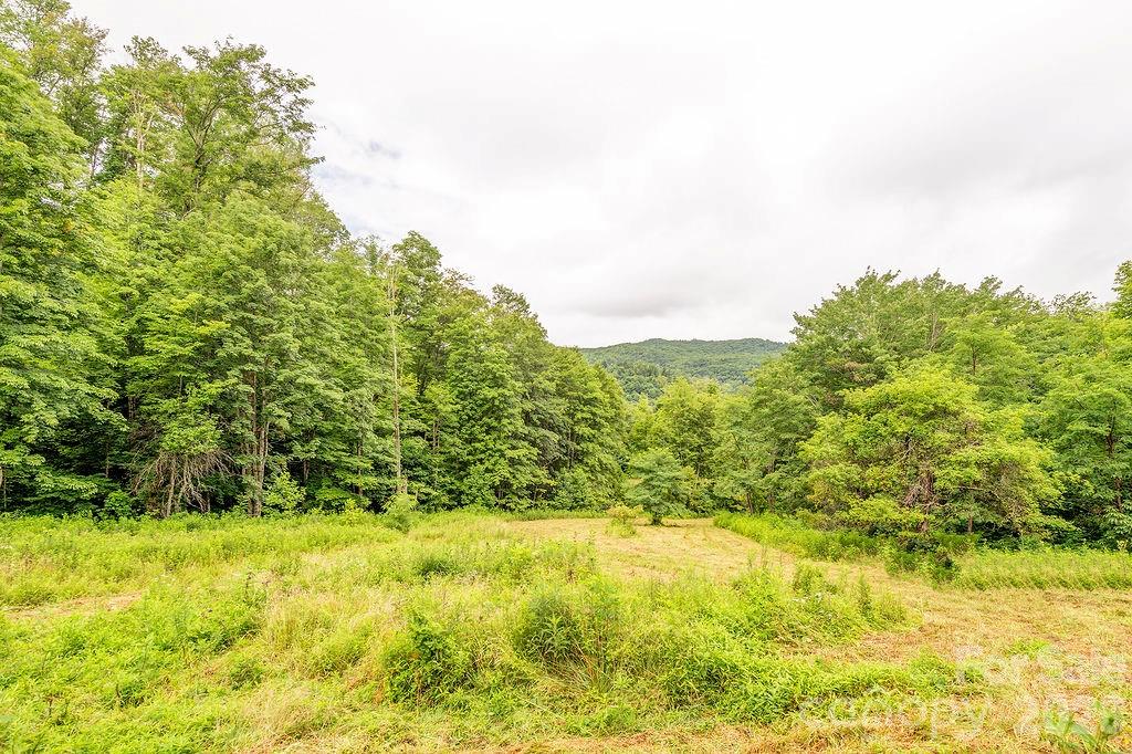8485 Meadow Fork Road — Hot Springs