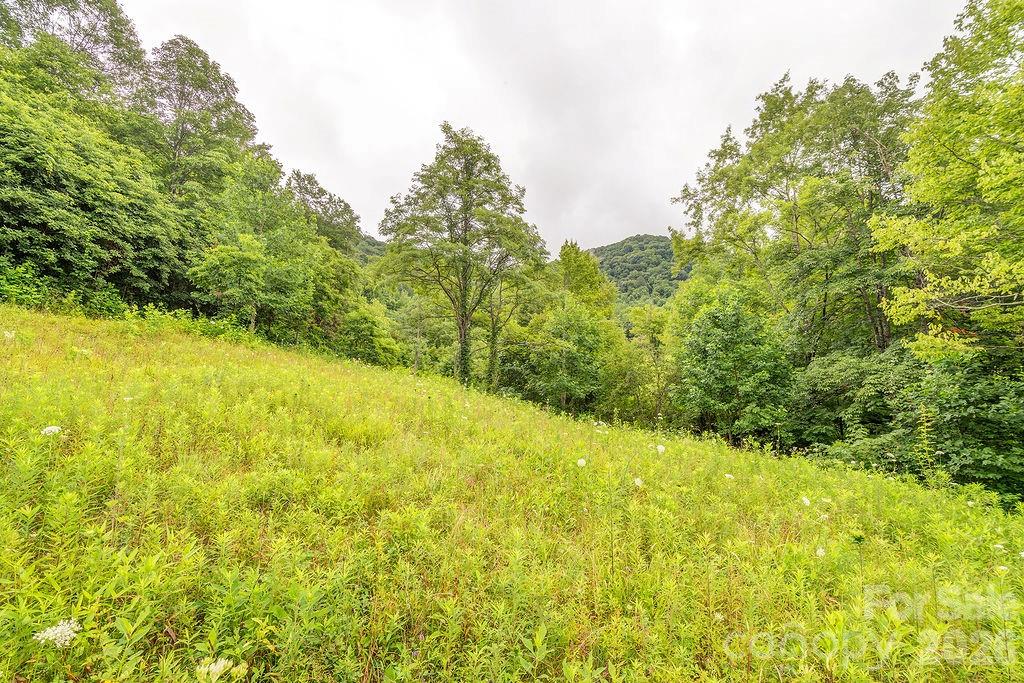 8485 Meadow Fork Road — Hot Springs