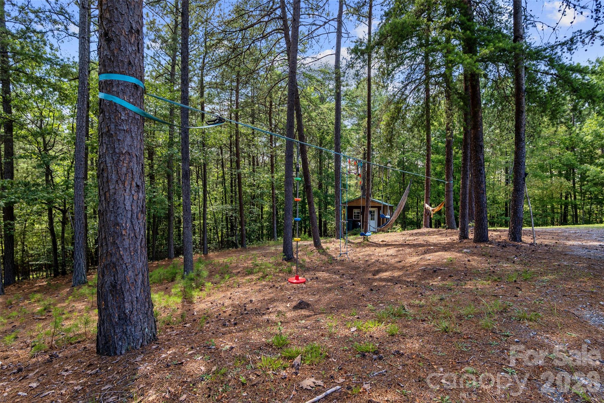 4551 Lake Adger Parkway — Mill Spring