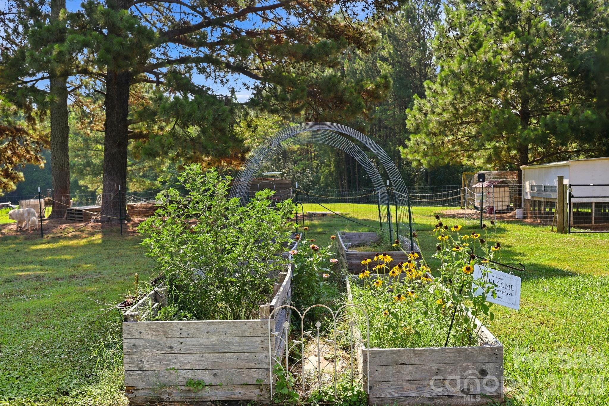 24654 Matton Grove Church Road — Gold Hill