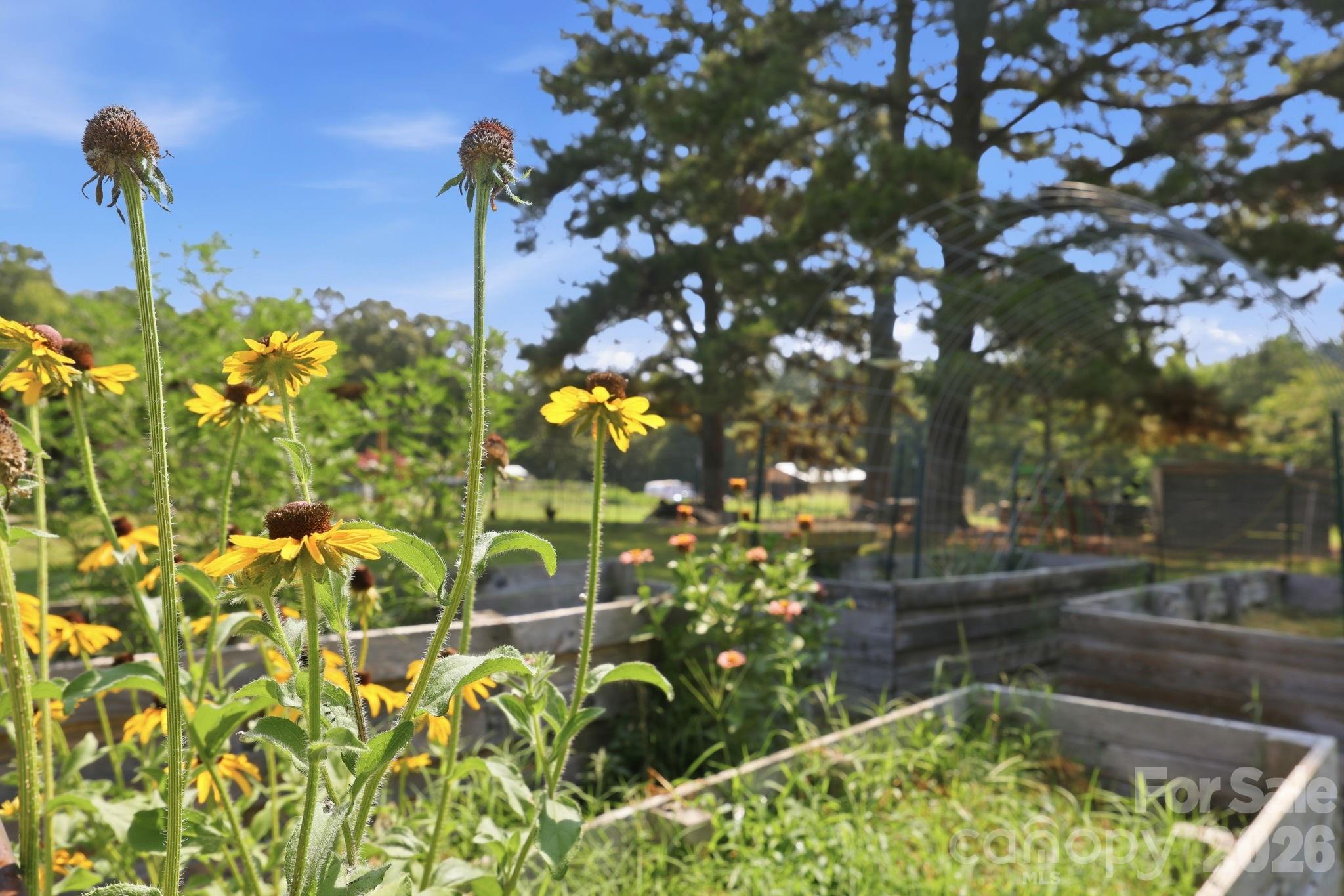 24654 Matton Grove Church Road — Gold Hill