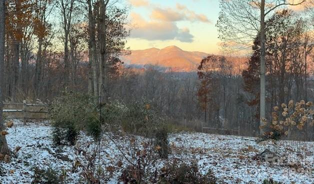 241 Alta Vista Drive — Candler
